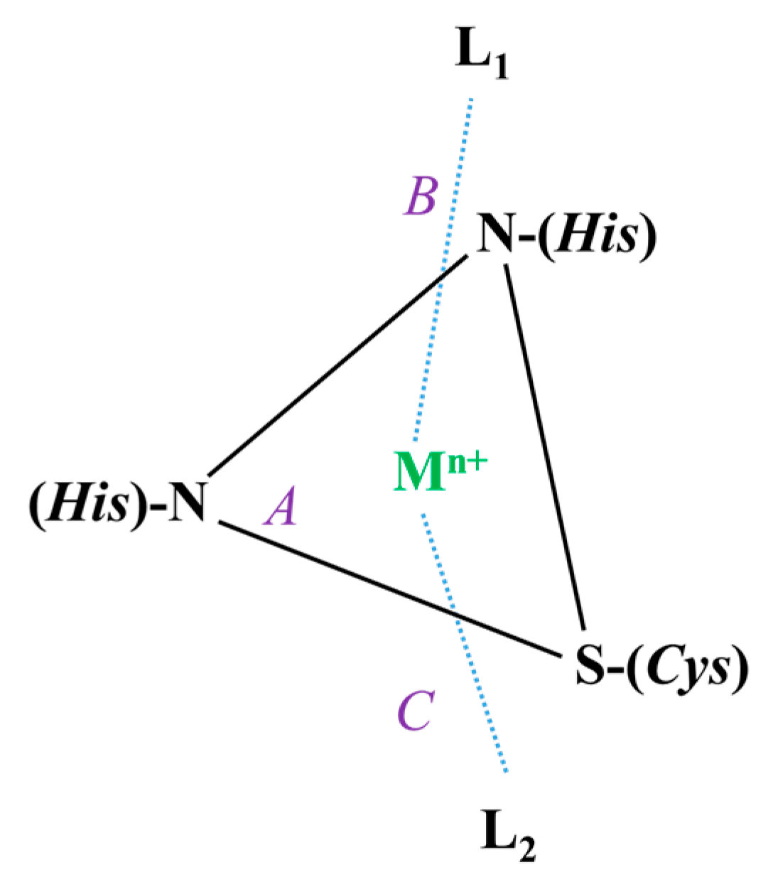 Biomolecules 13 00681 g001