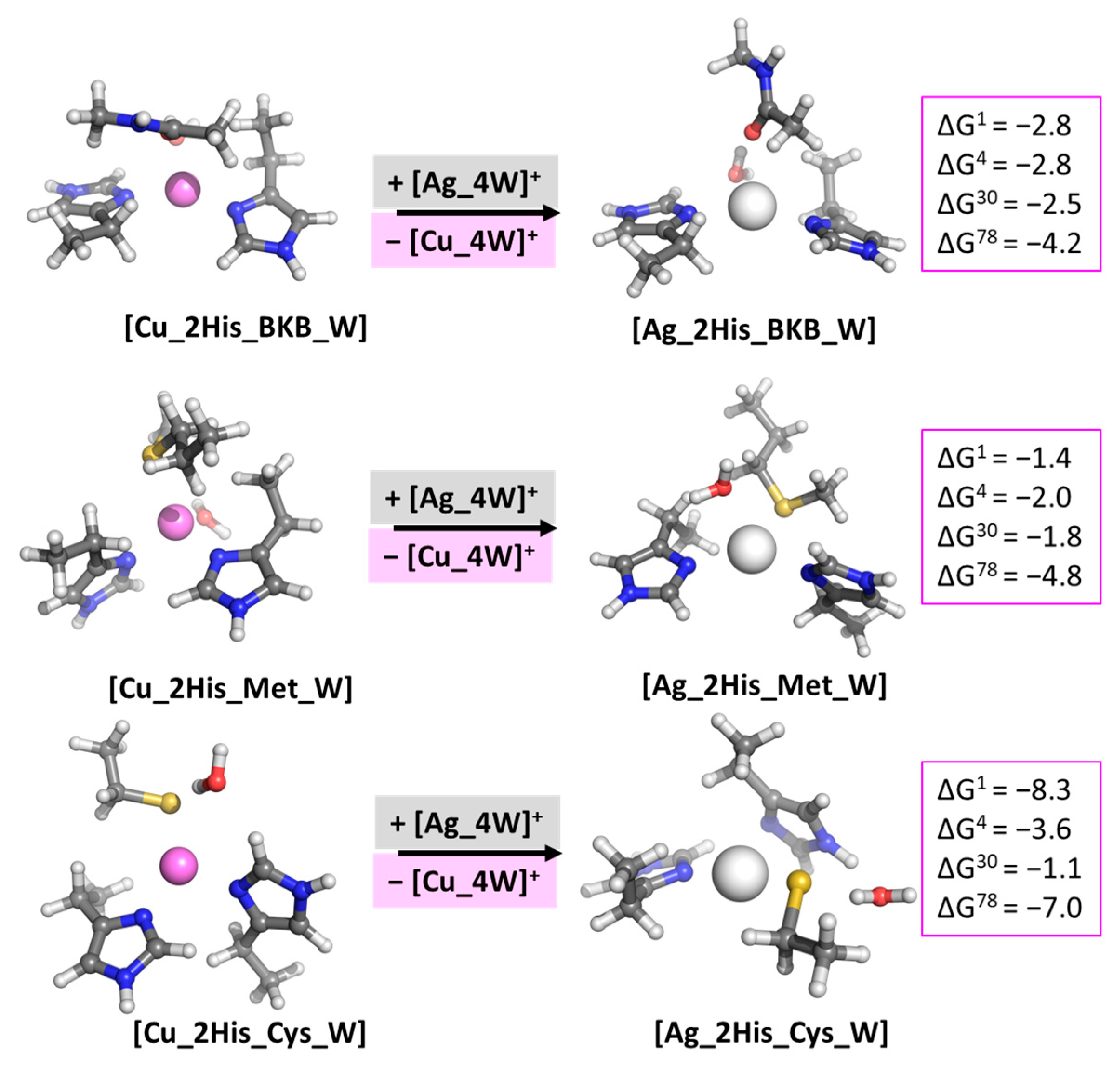 Biomolecules 13 00681 g005