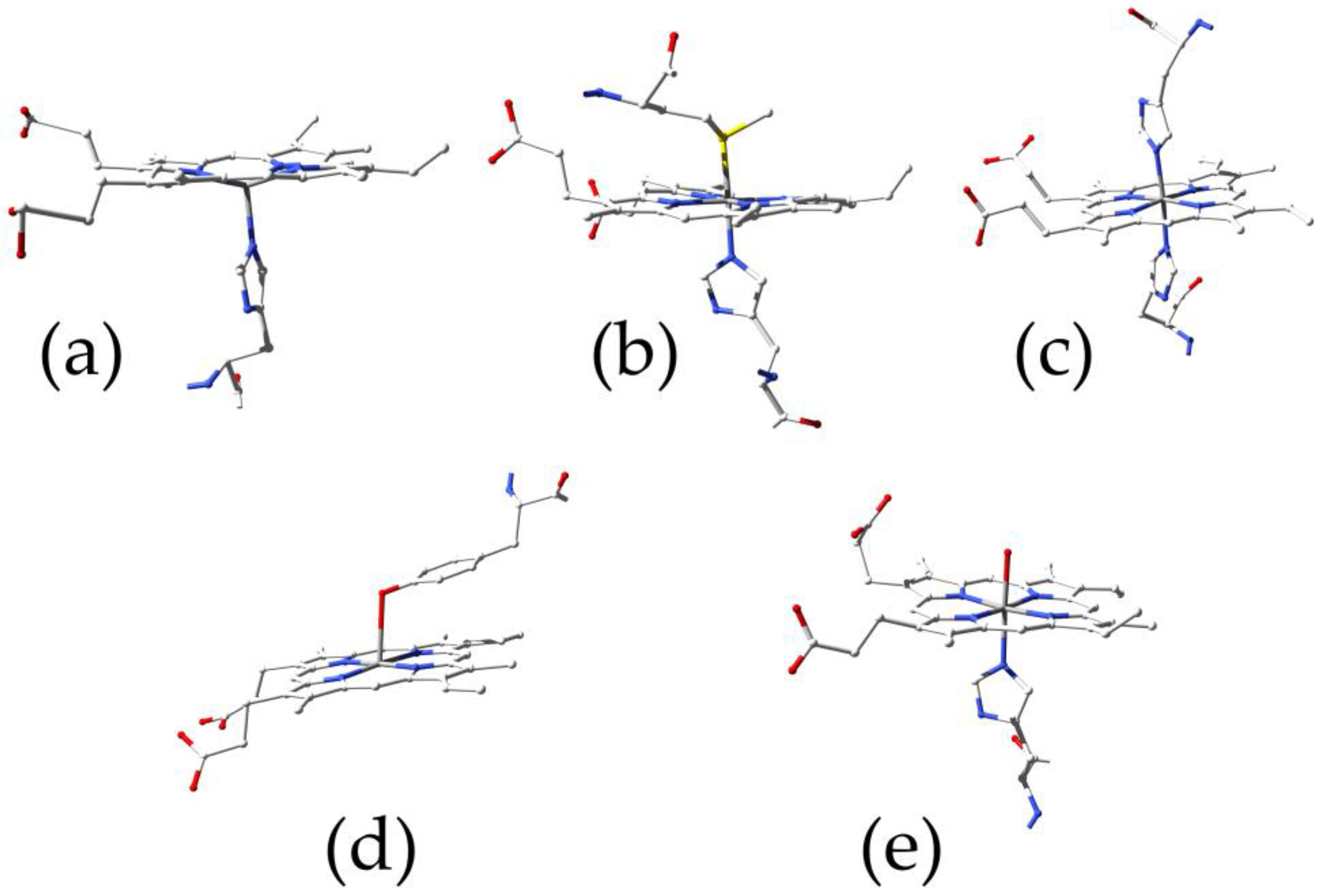 Biomolecules 13 00683 g001