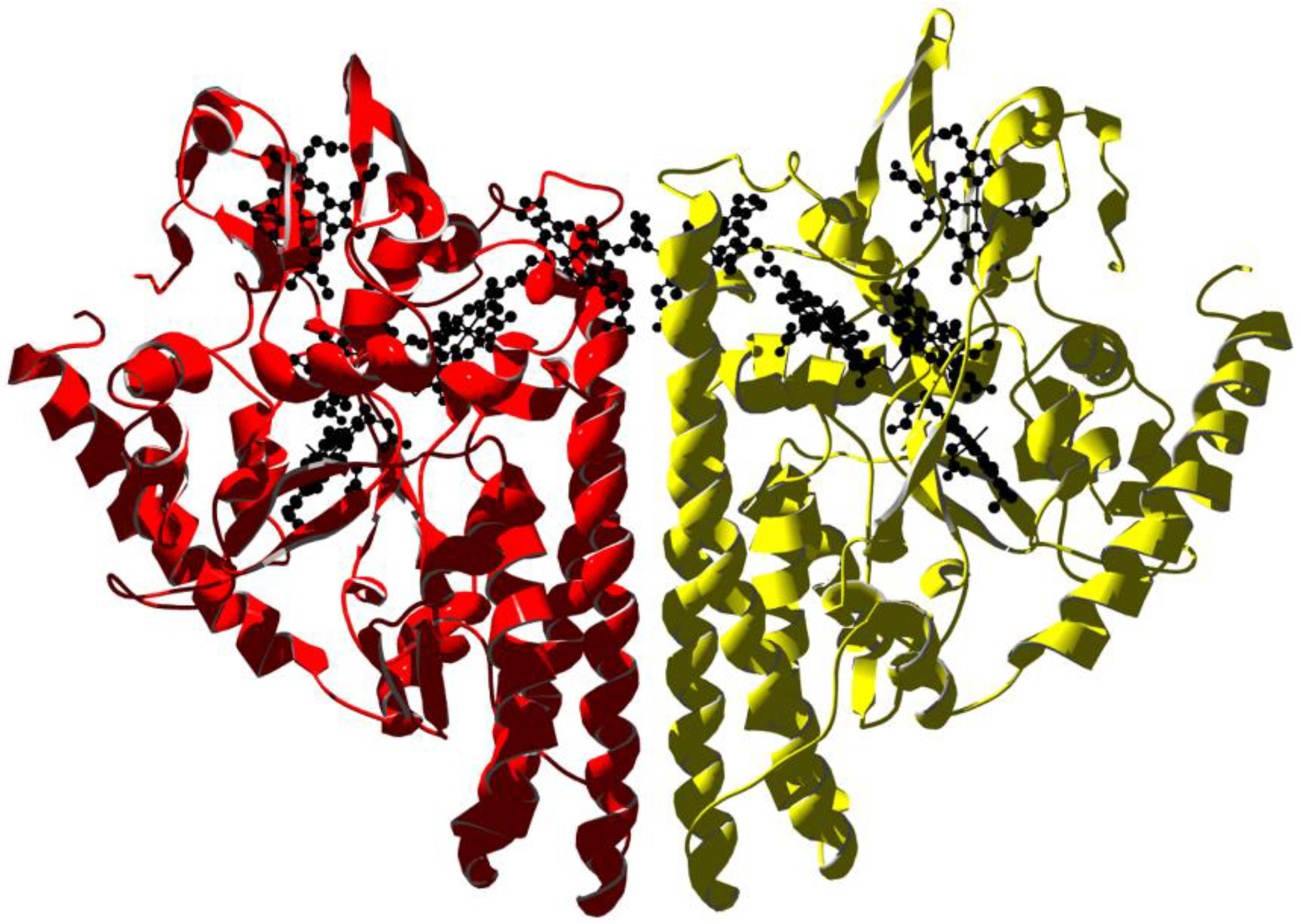 Biomolecules 13 00683 g004