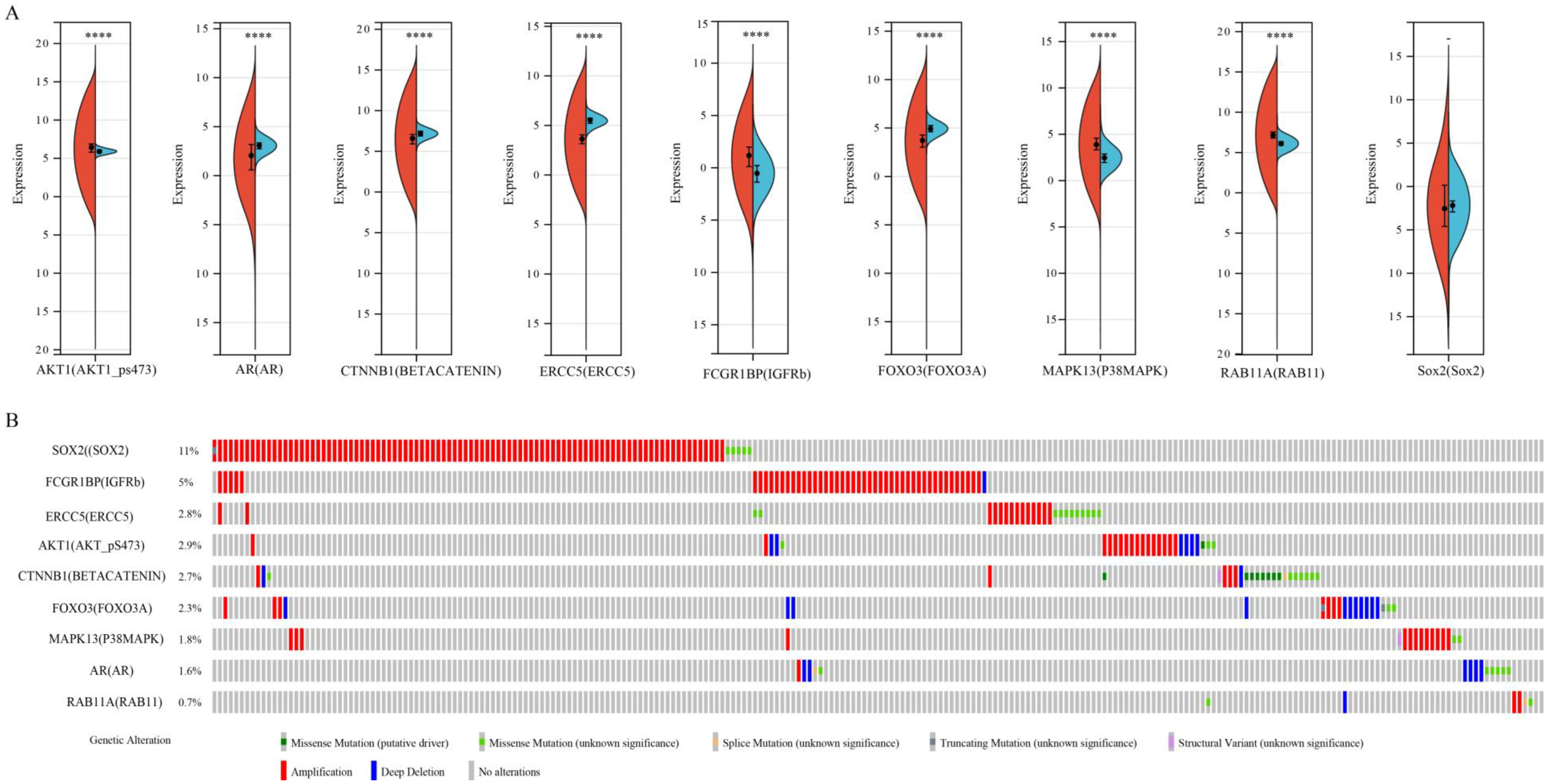 Biomolecules 13 00685 g011