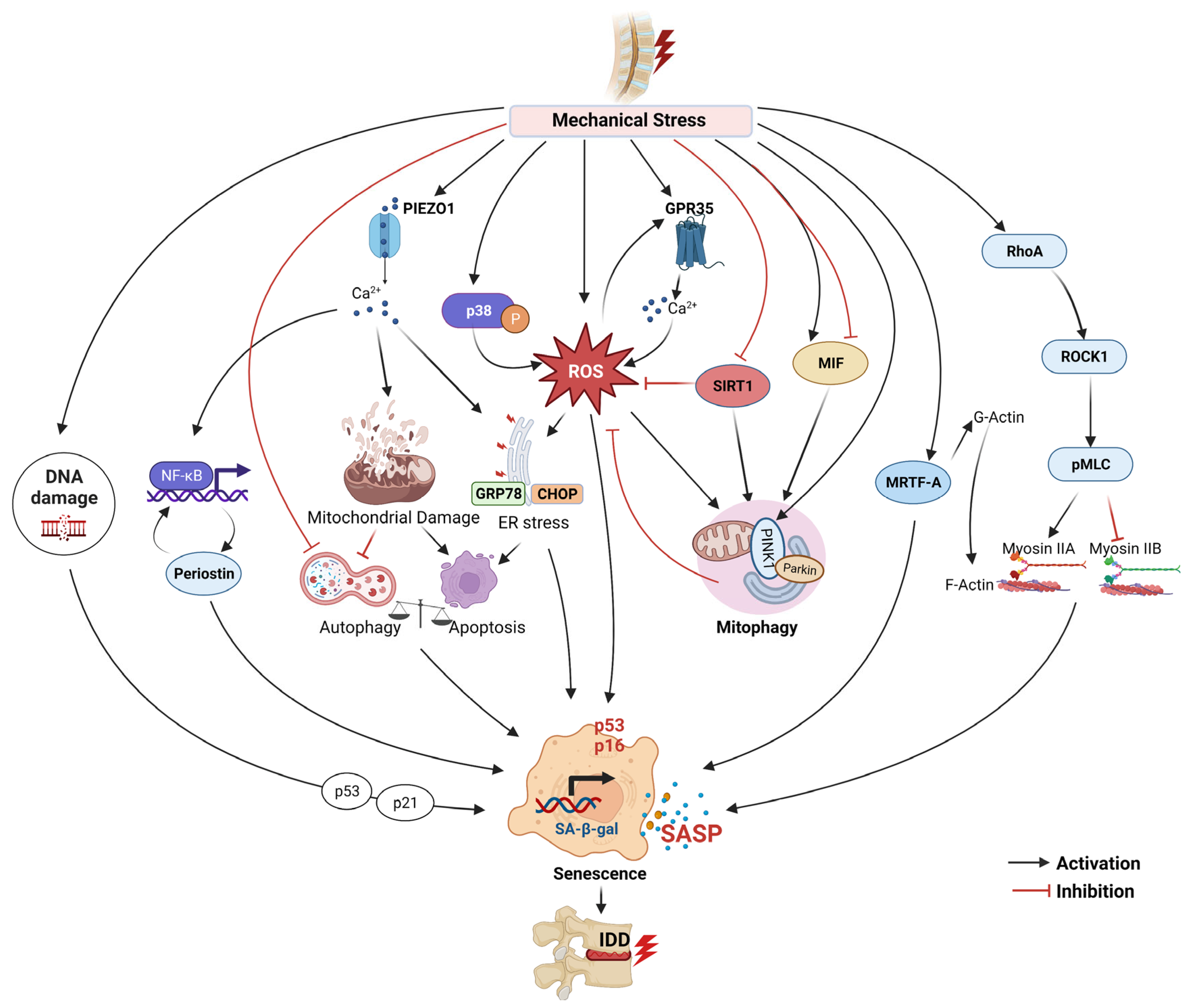 Biomolecules 13 00686 g002 Biomolecules 13 00686 g002