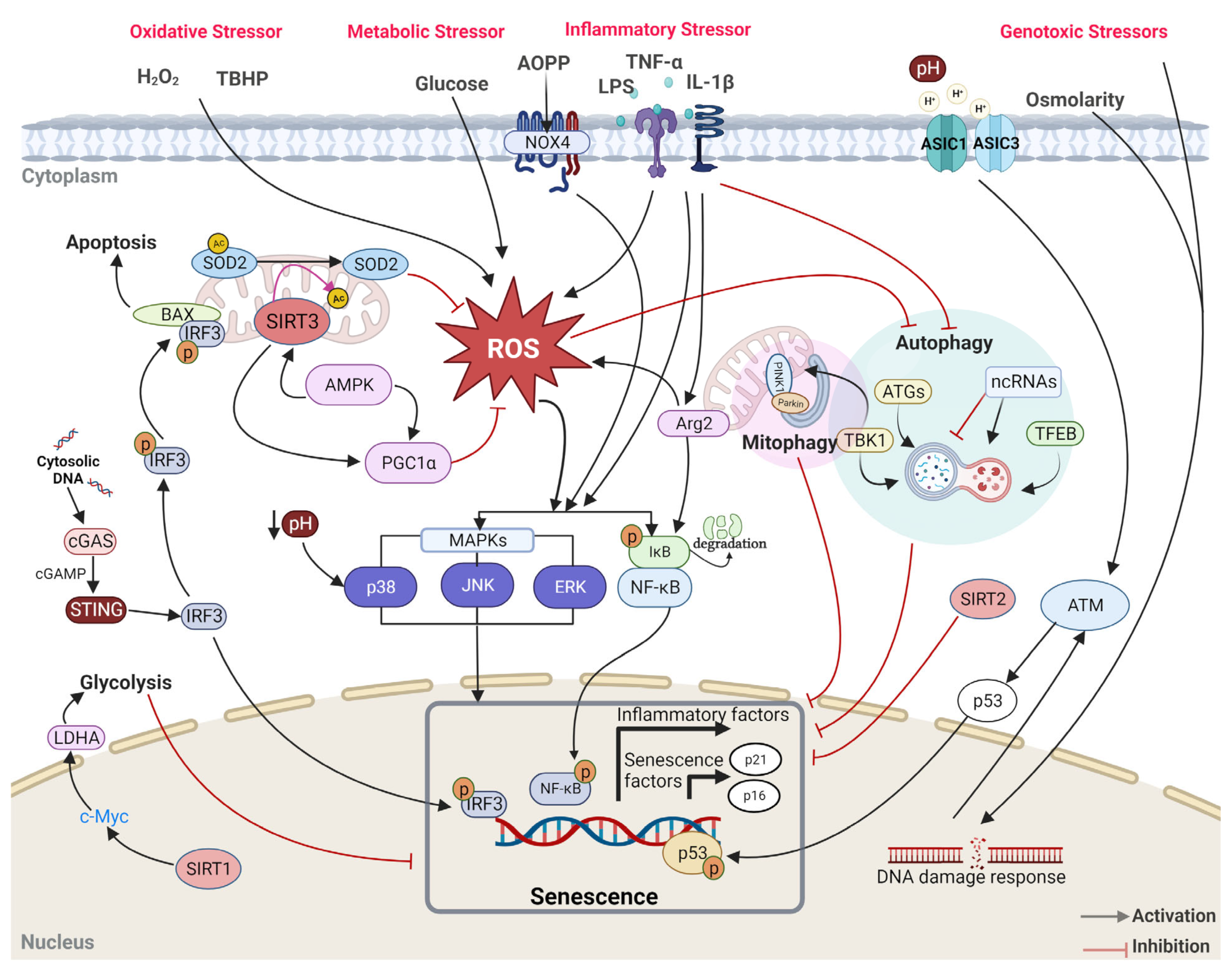 Biomolecules 13 00686 g003 Biomolecules 13 00686 g003