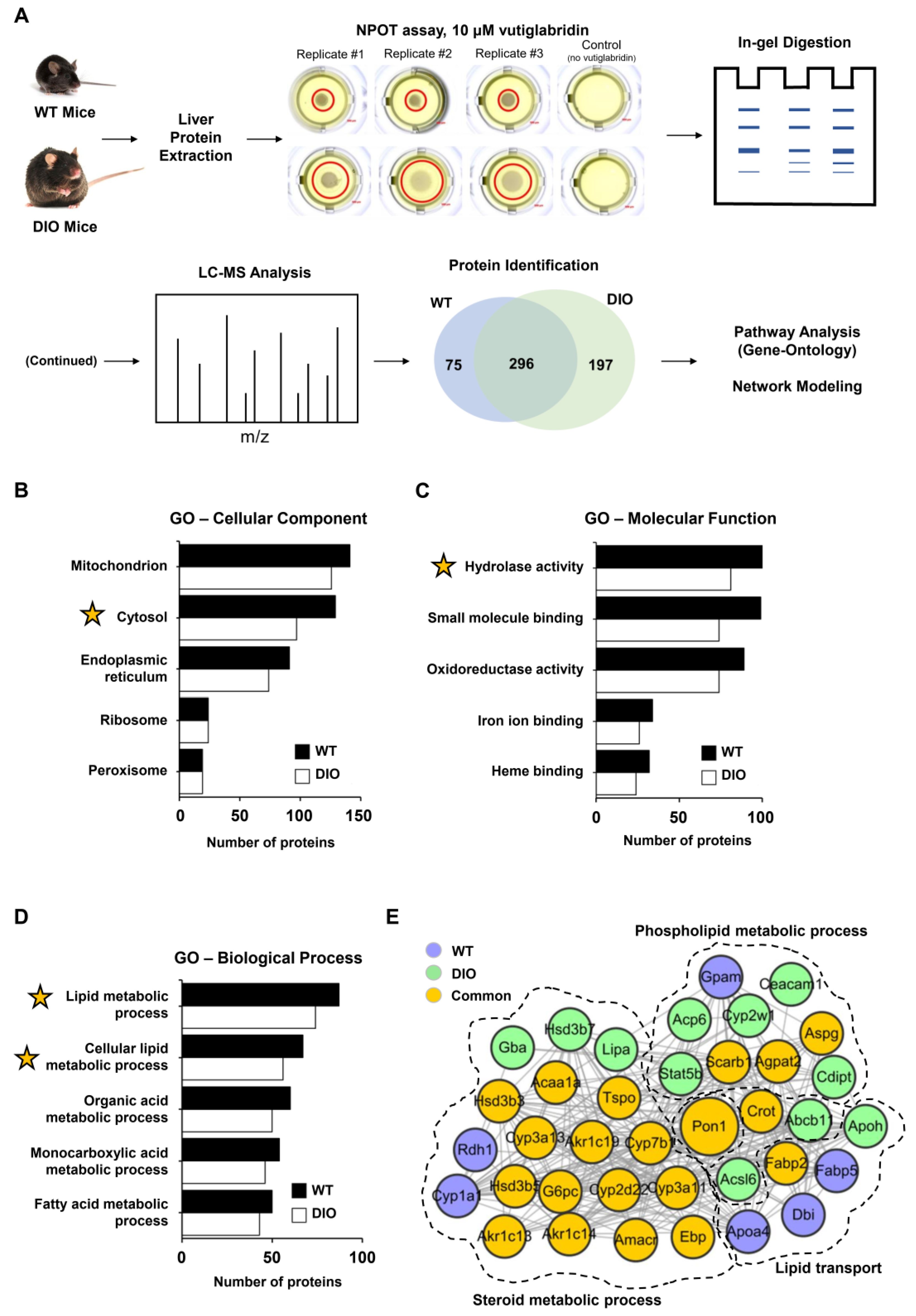 Biomolecules 13 00687 g001