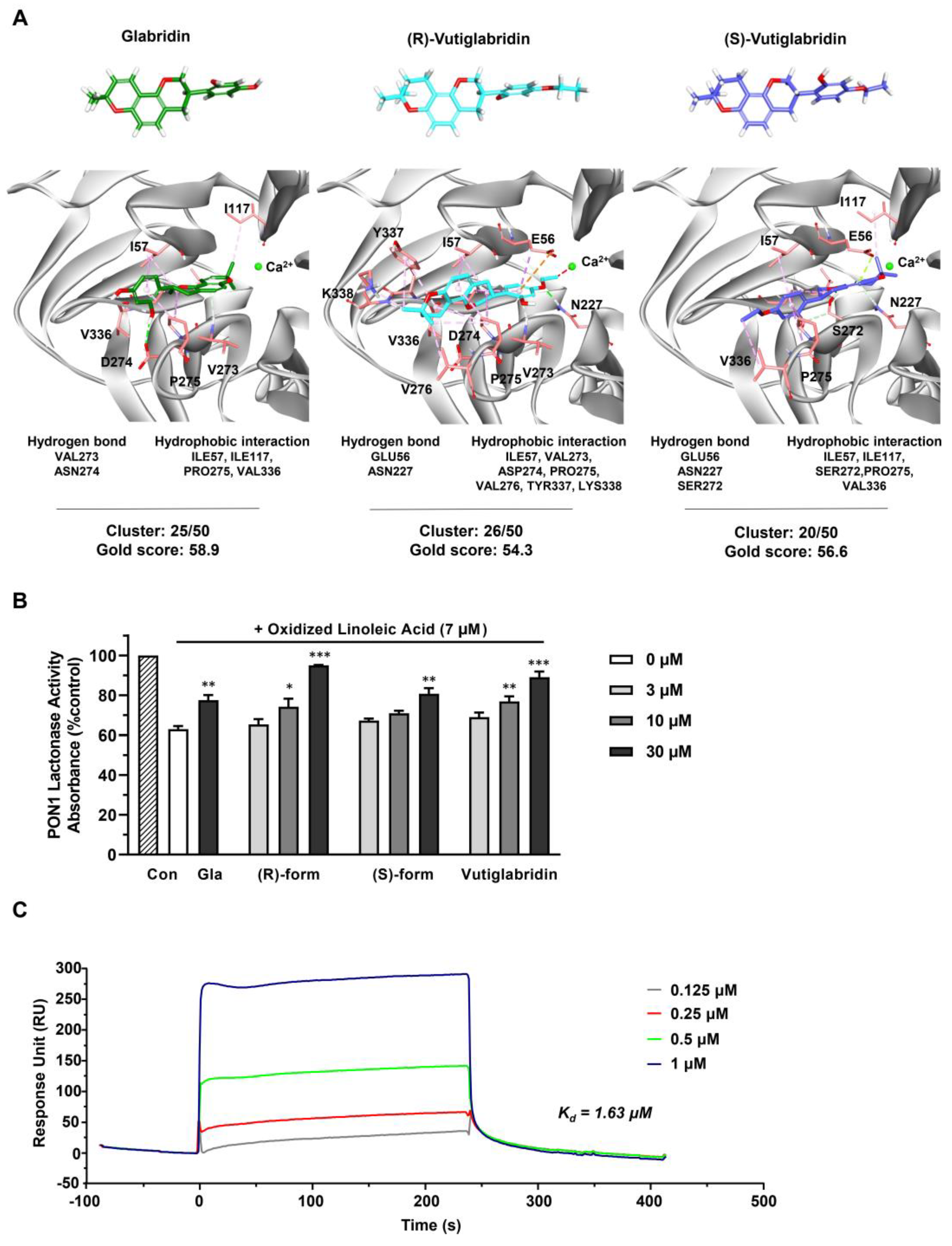 Biomolecules 13 00687 g002