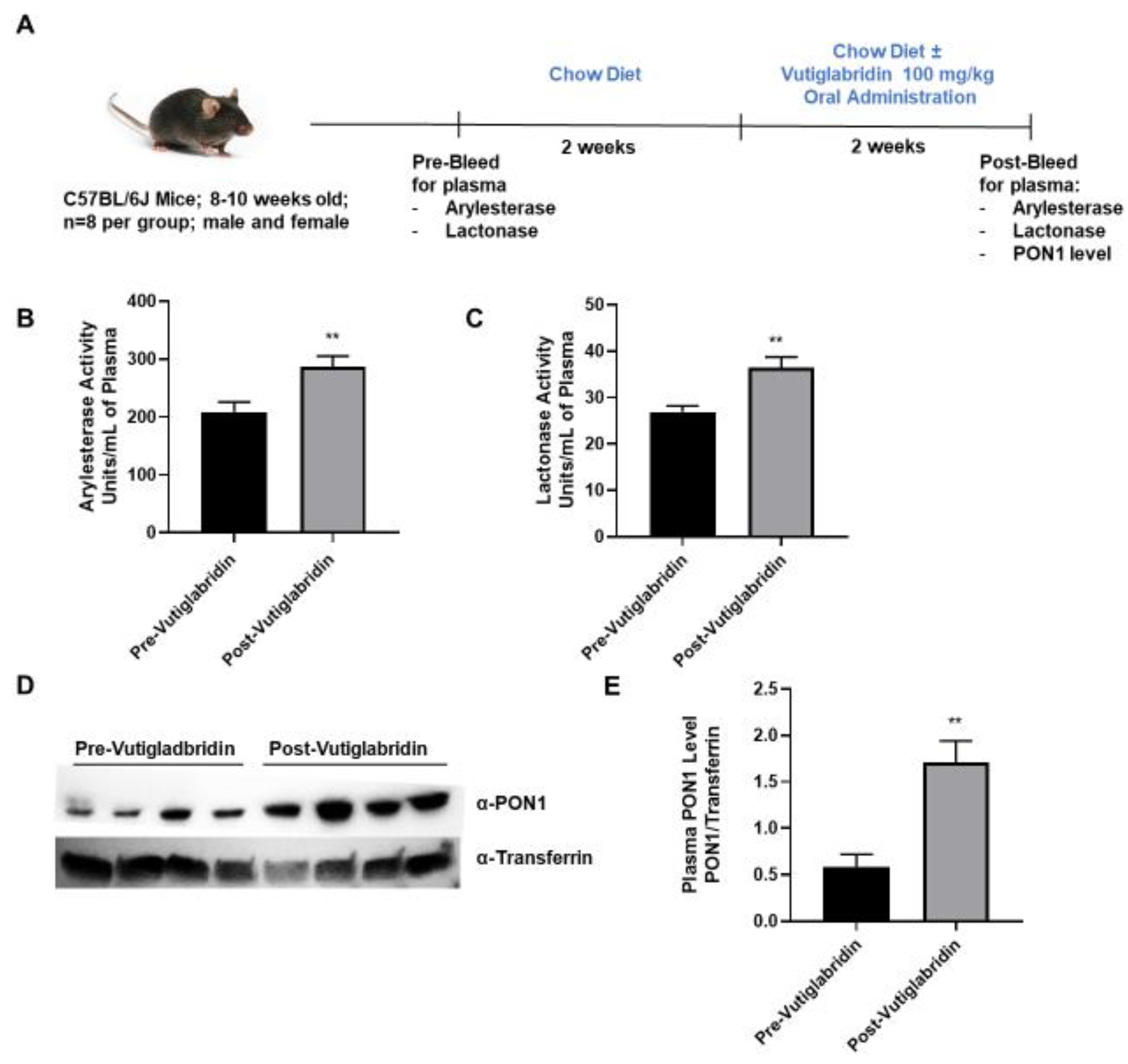 Biomolecules 13 00687 g003