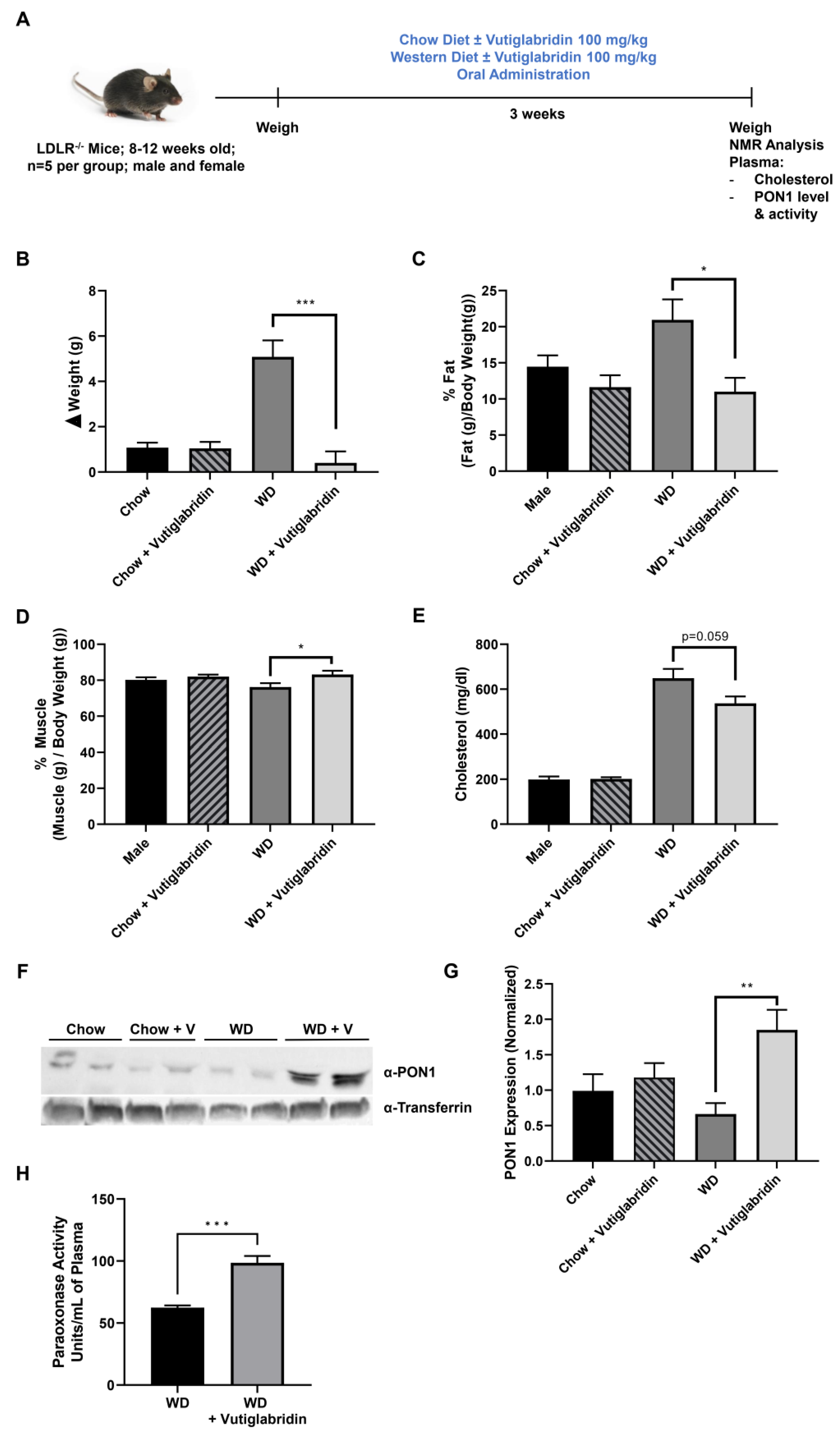 Biomolecules 13 00687 g004