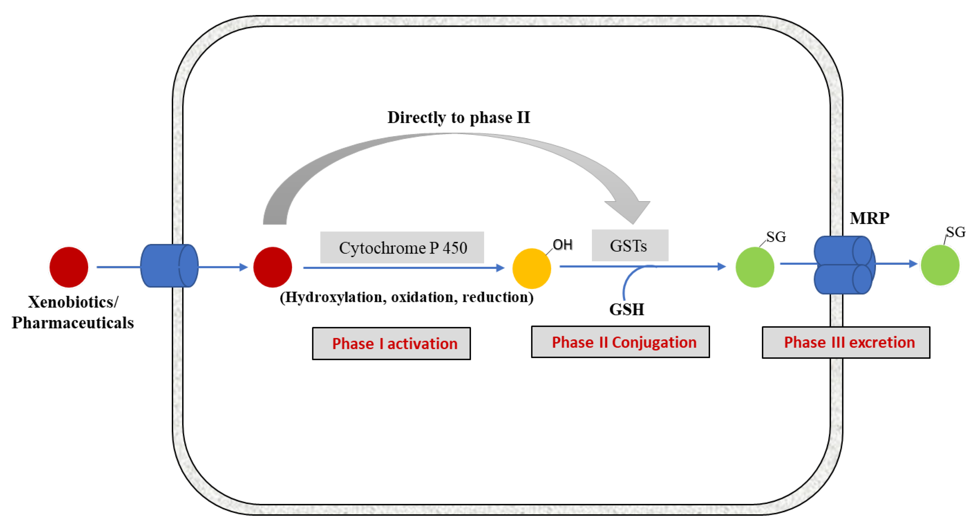 Biomolecules 13 00688 g001 Biomolecules 13 00688 g001