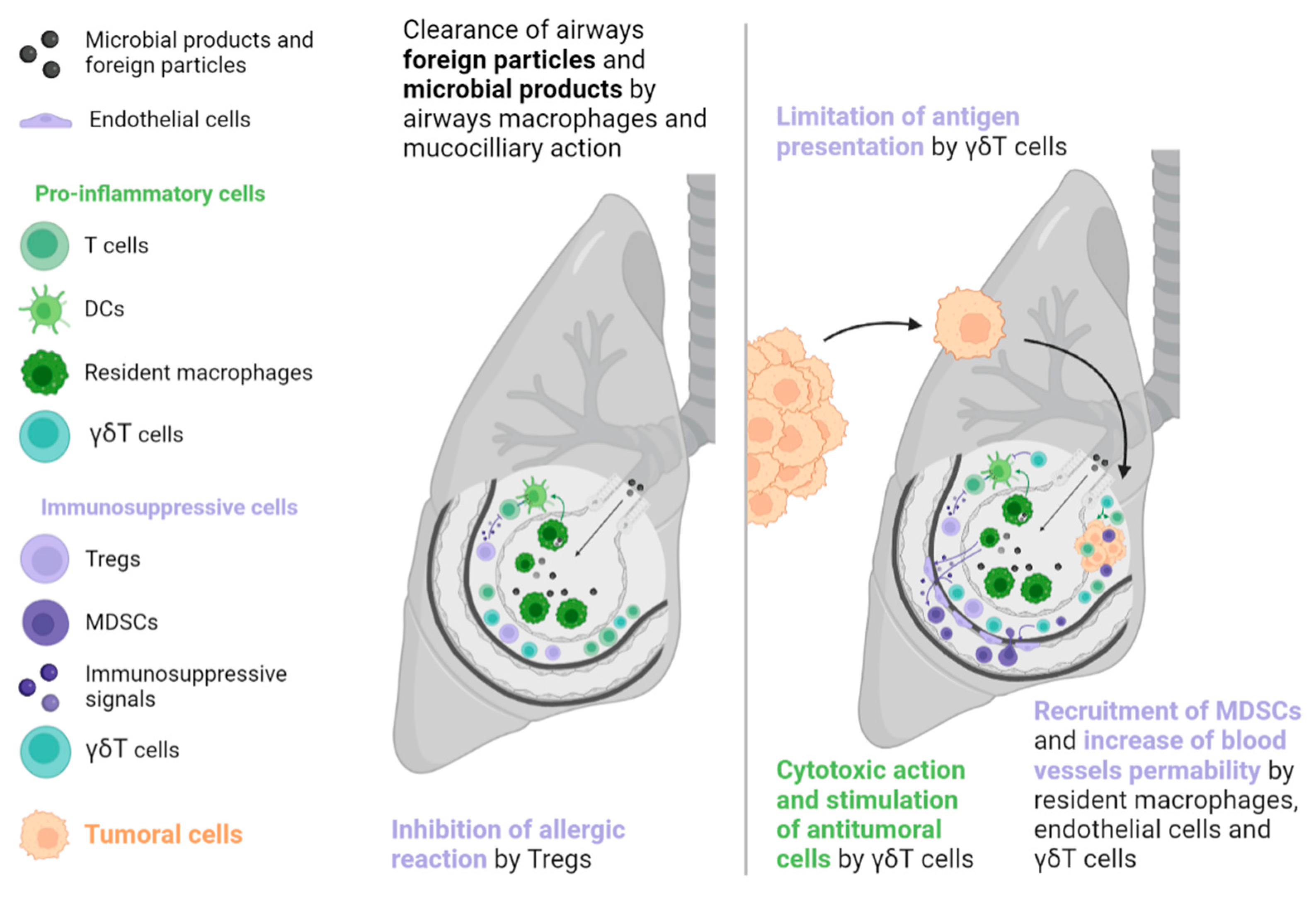 Biomolecules 13 00689 g002