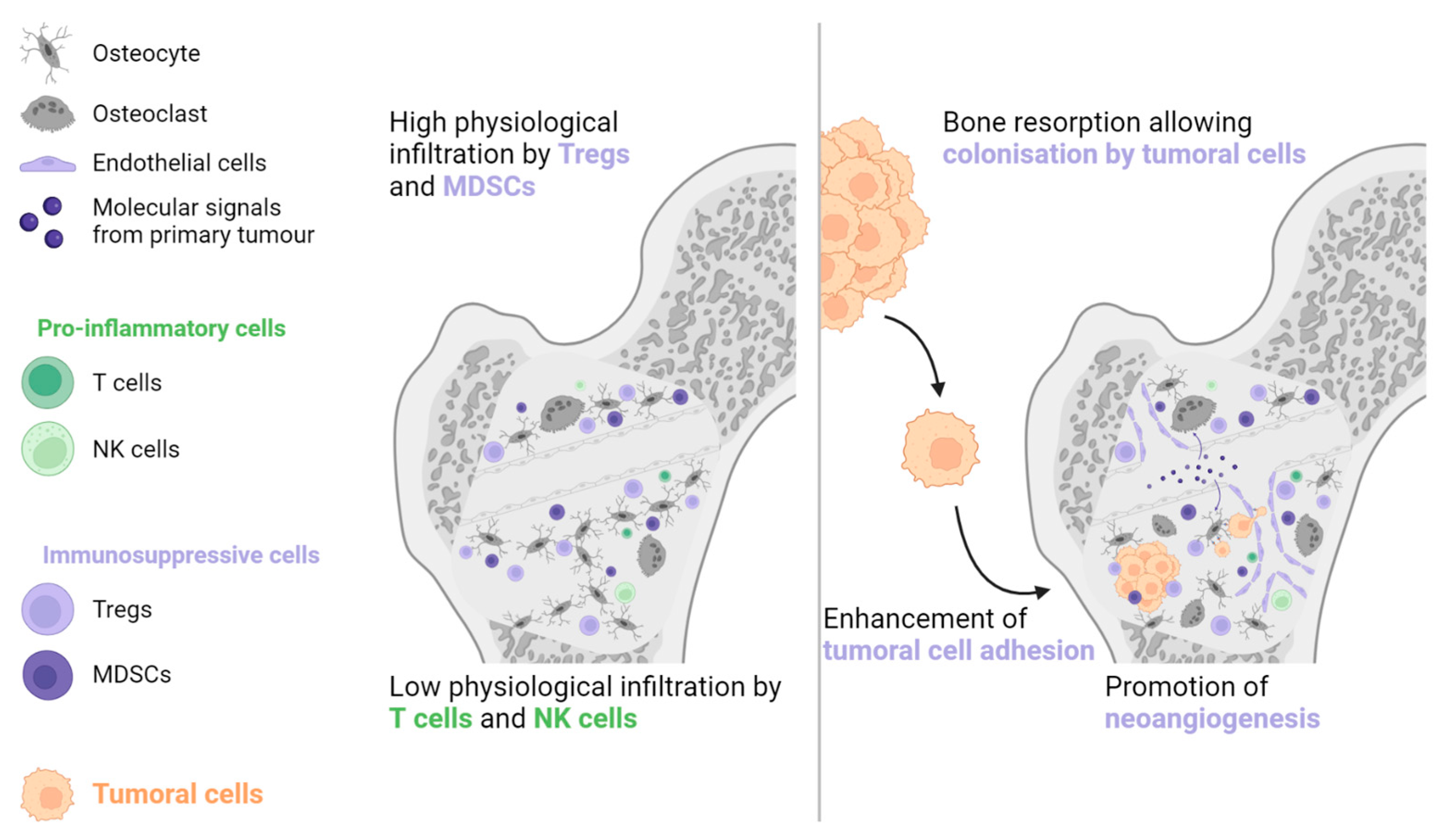 Biomolecules 13 00689 g003