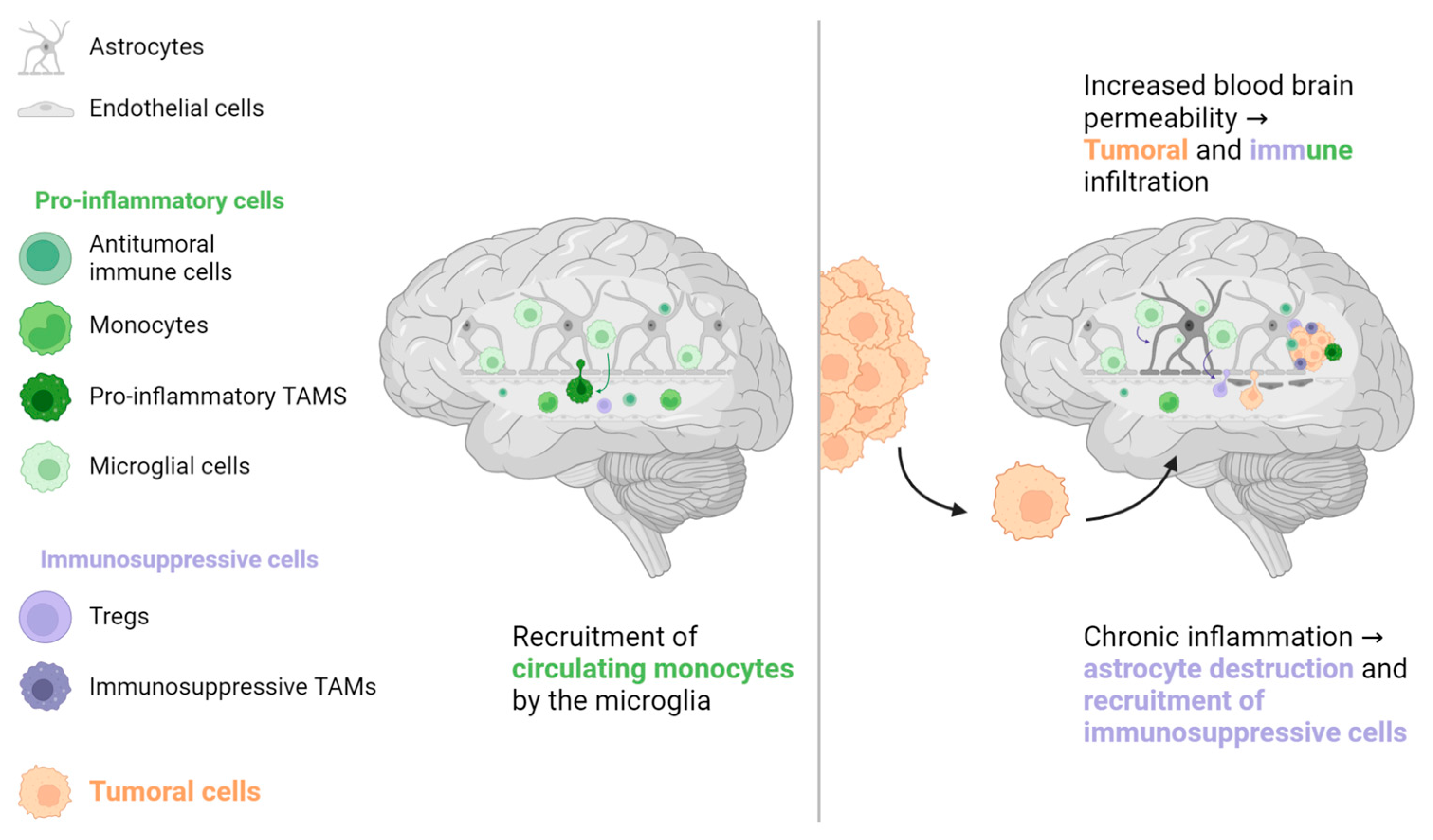 Biomolecules 13 00689 g004