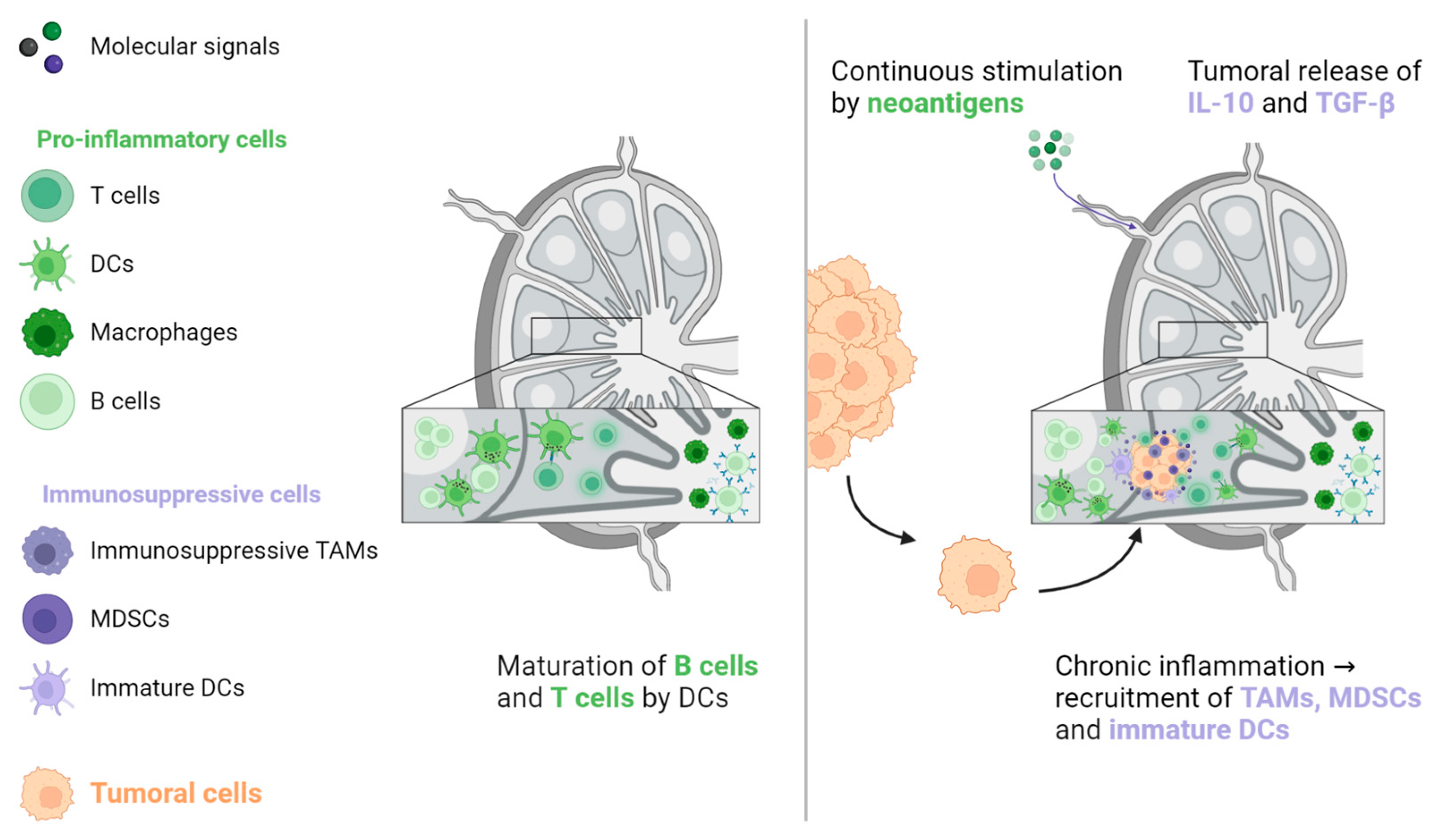 Biomolecules 13 00689 g005