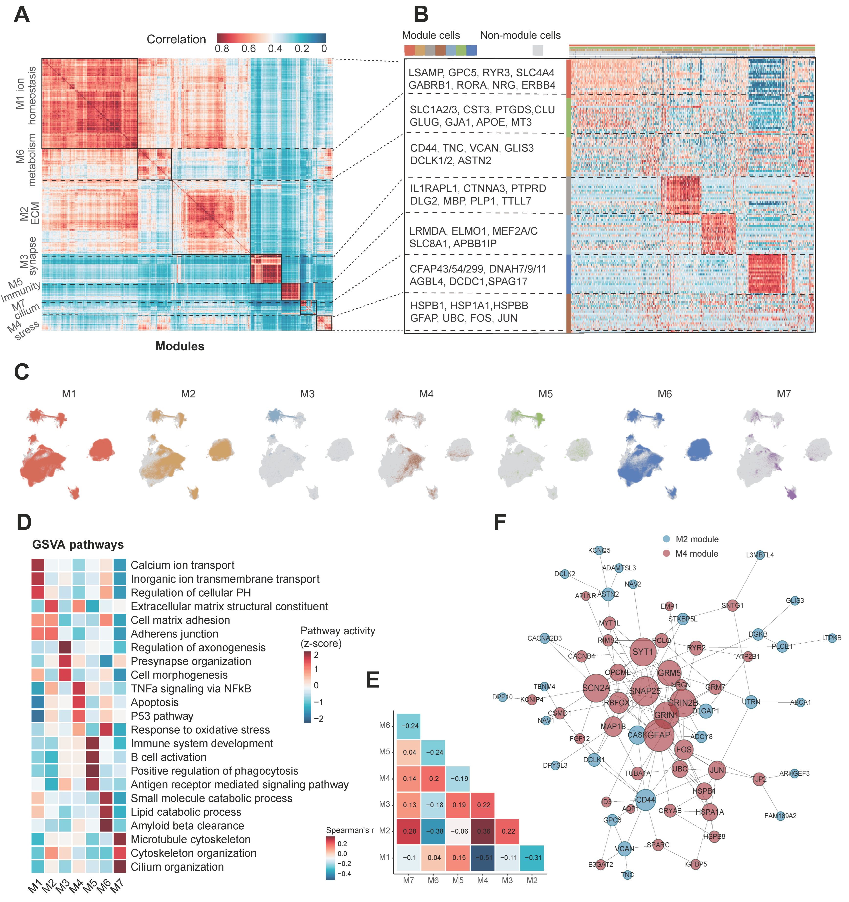 Biomolecules 13 00692 g004