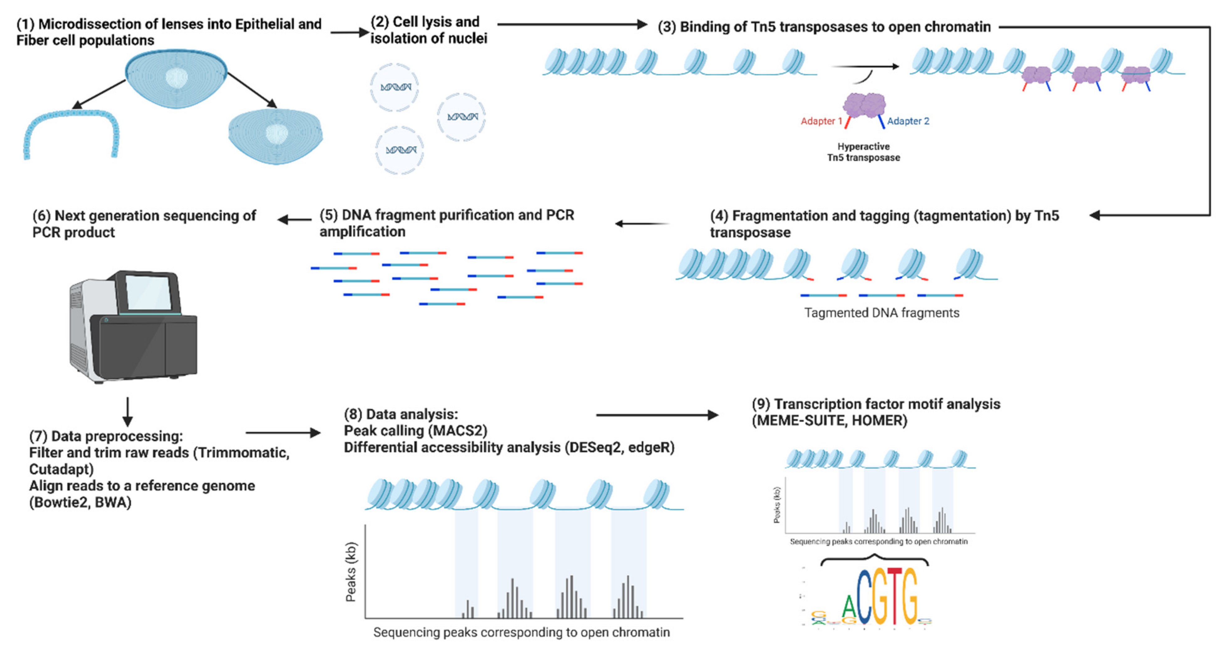 Biomolecules 13 00693 g003