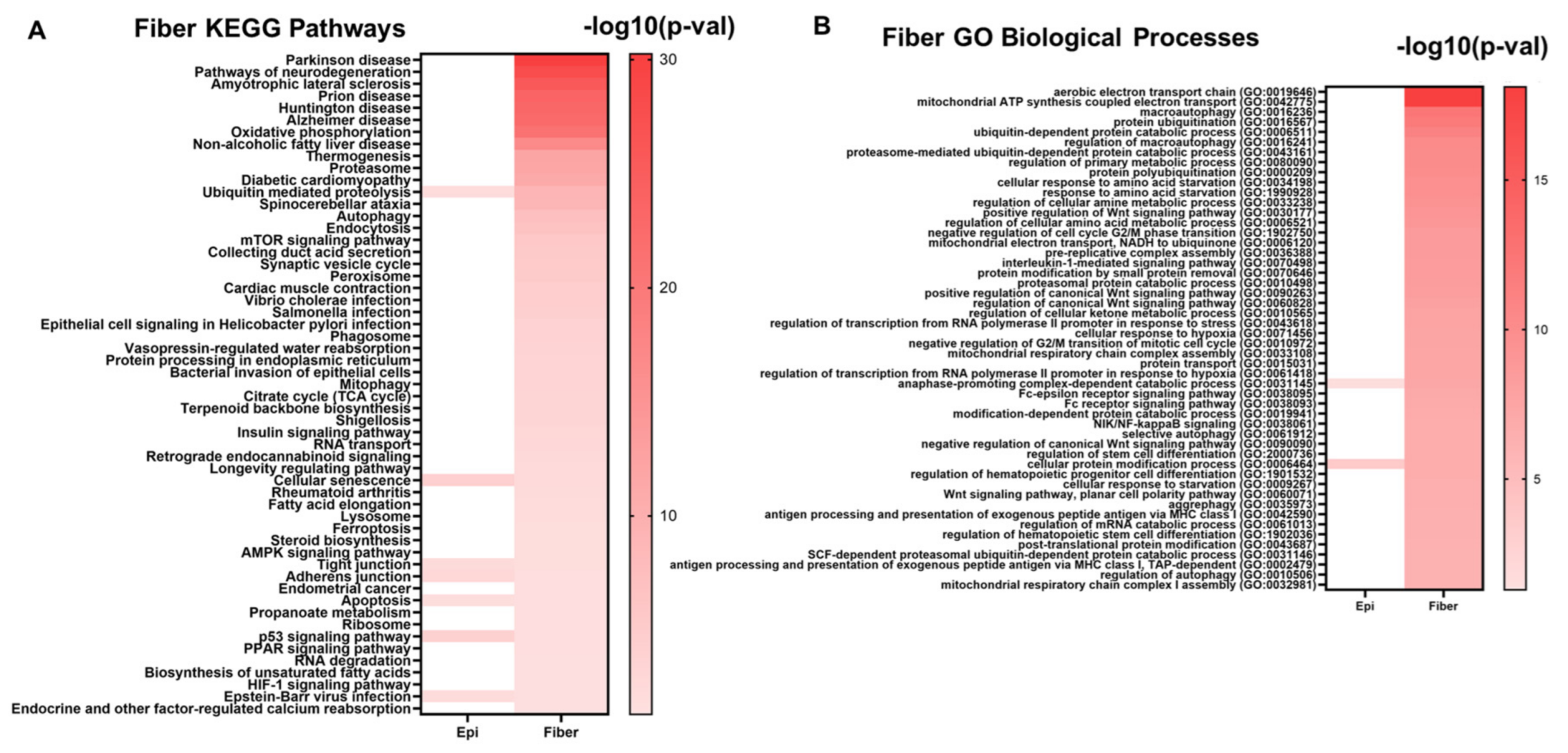 Biomolecules 13 00693 g008