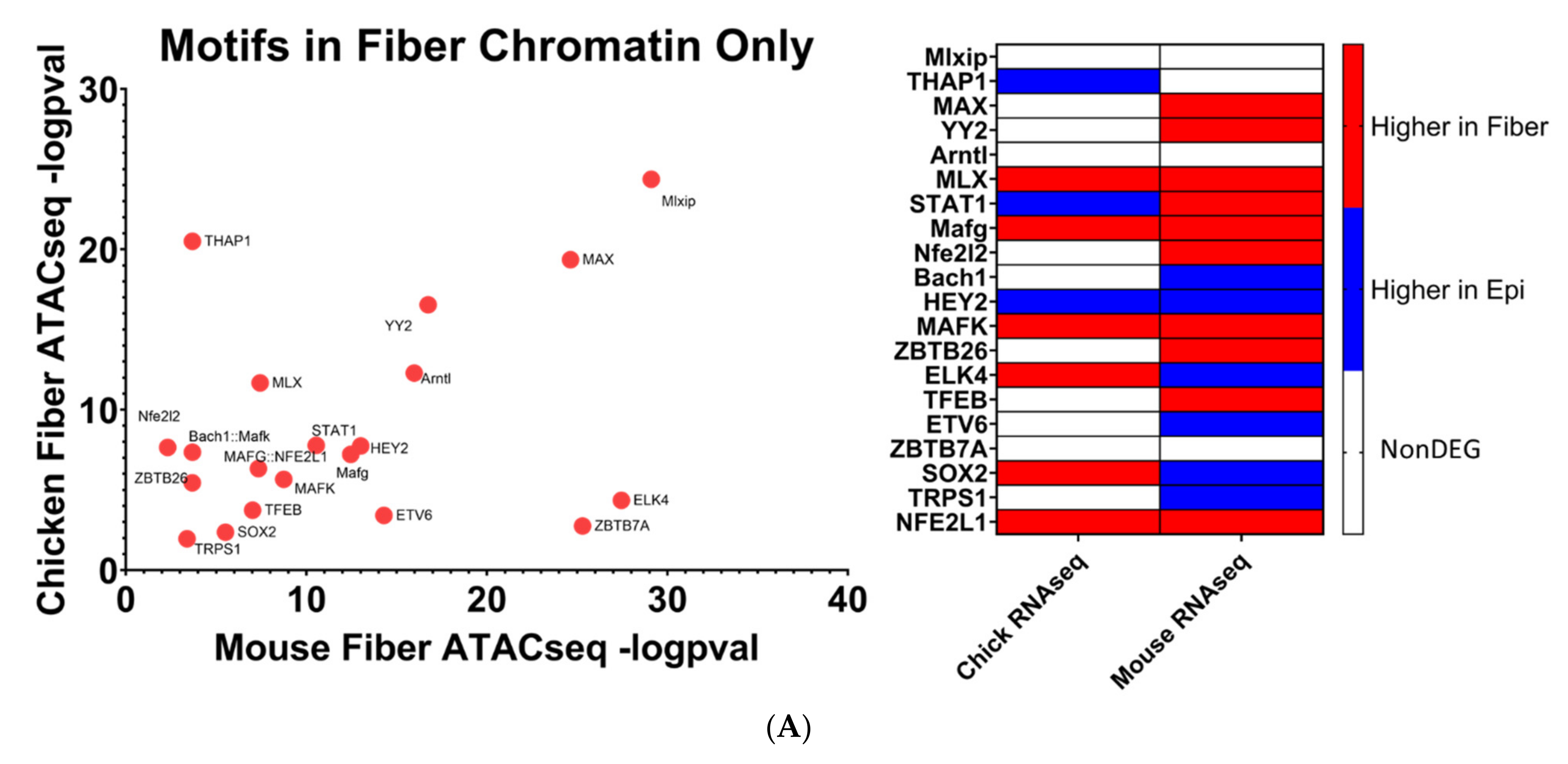 Biomolecules 13 00693 g010a