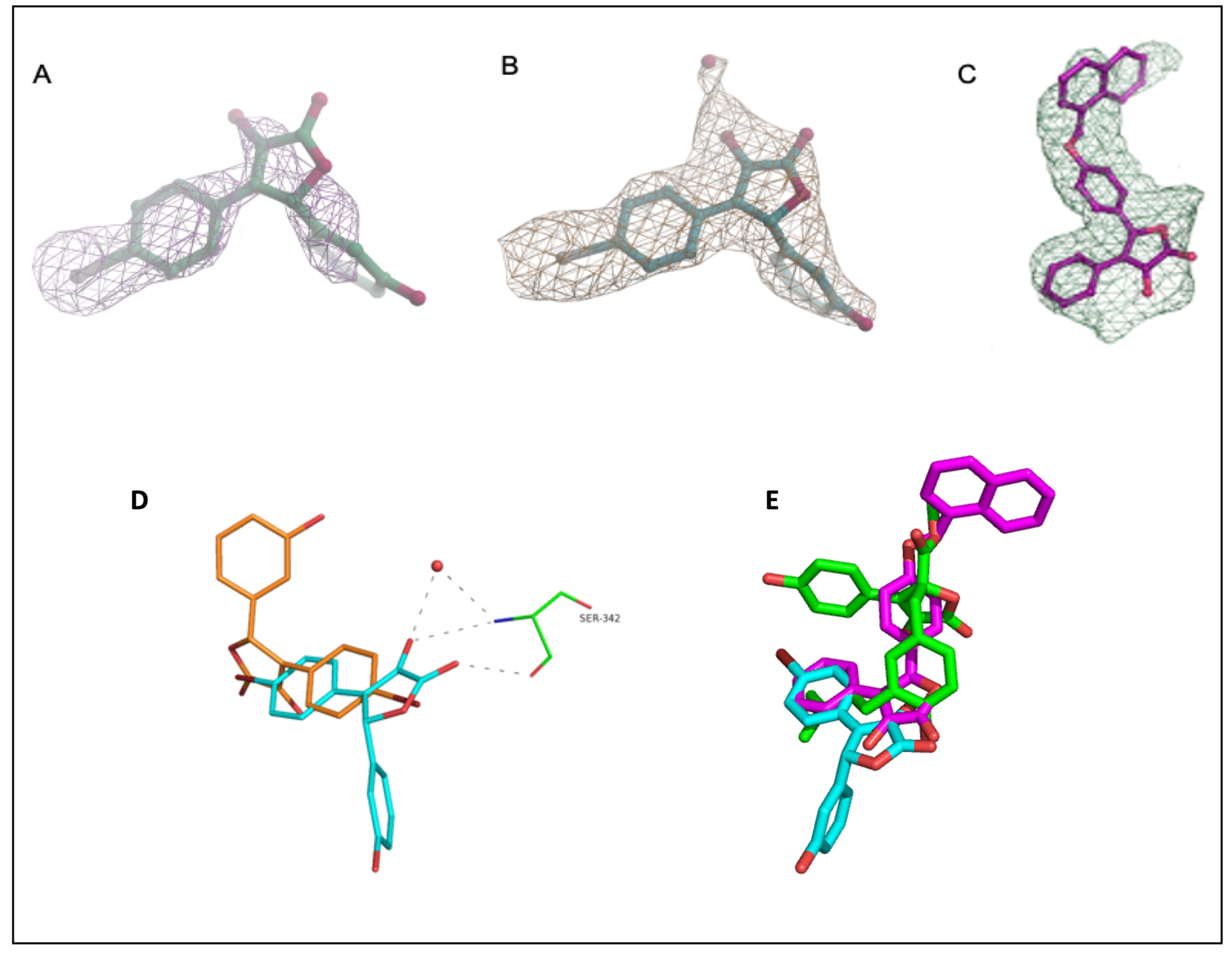 Biomolecules 13 00694 g005