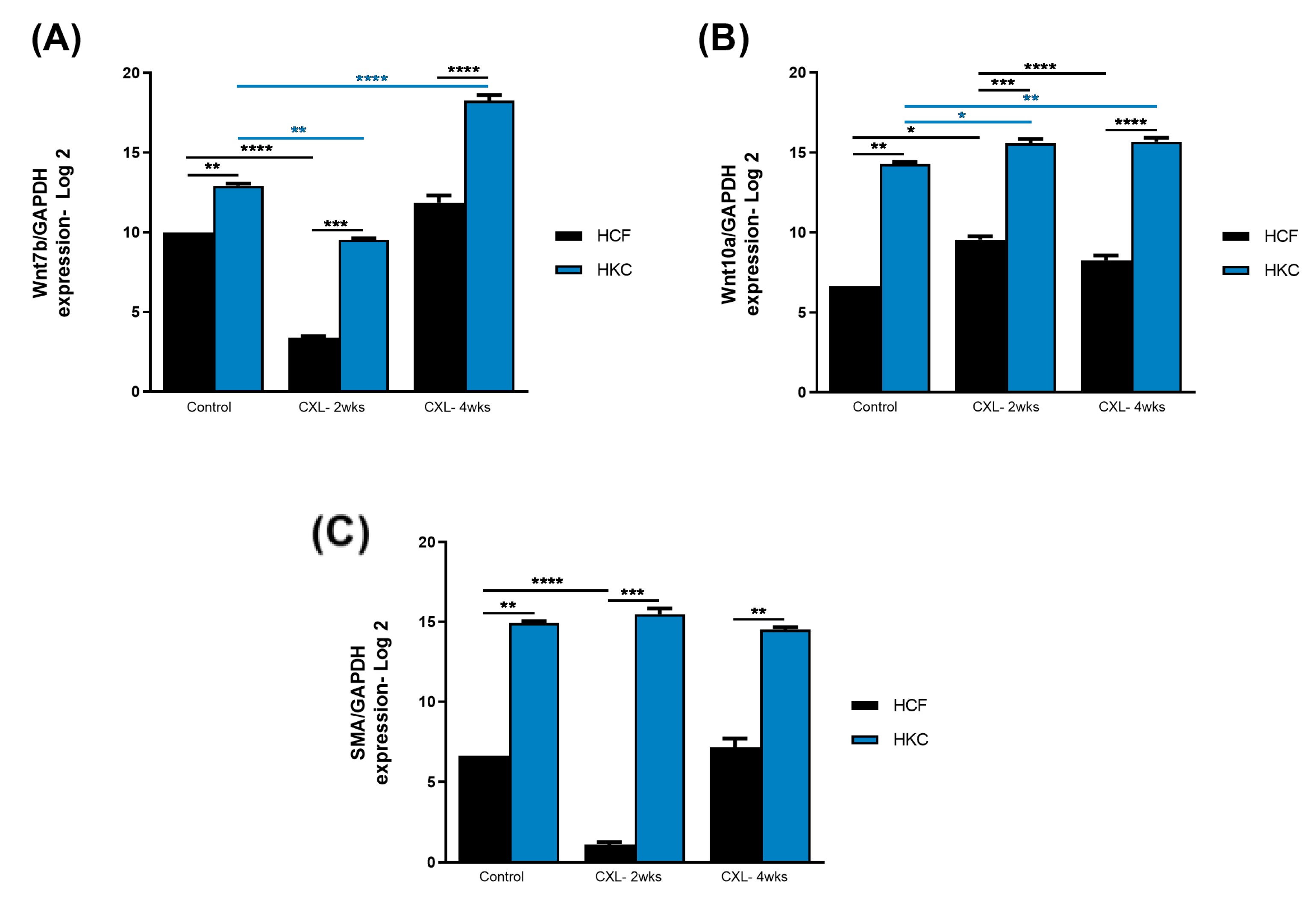 Biomolecules 13 00696 g002 Biomolecules 13 00696 g002
