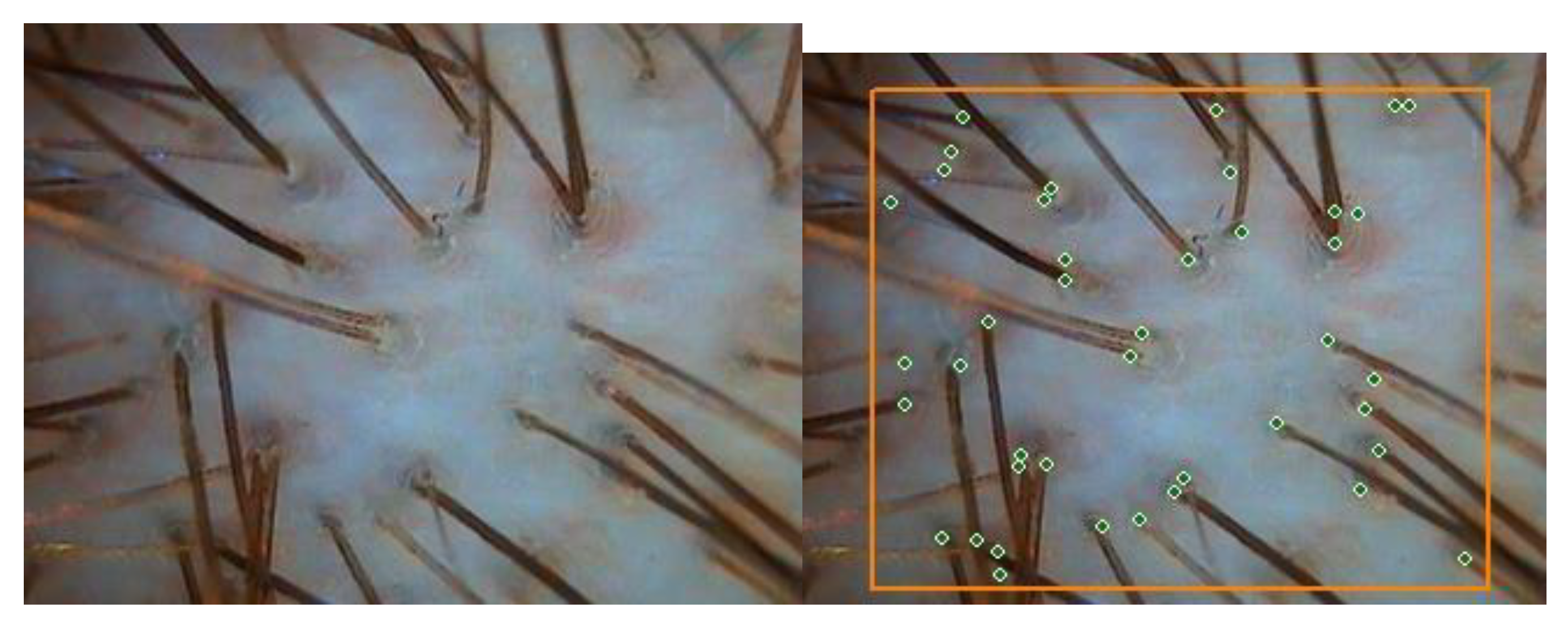 Biomolecules 13 00699 g001