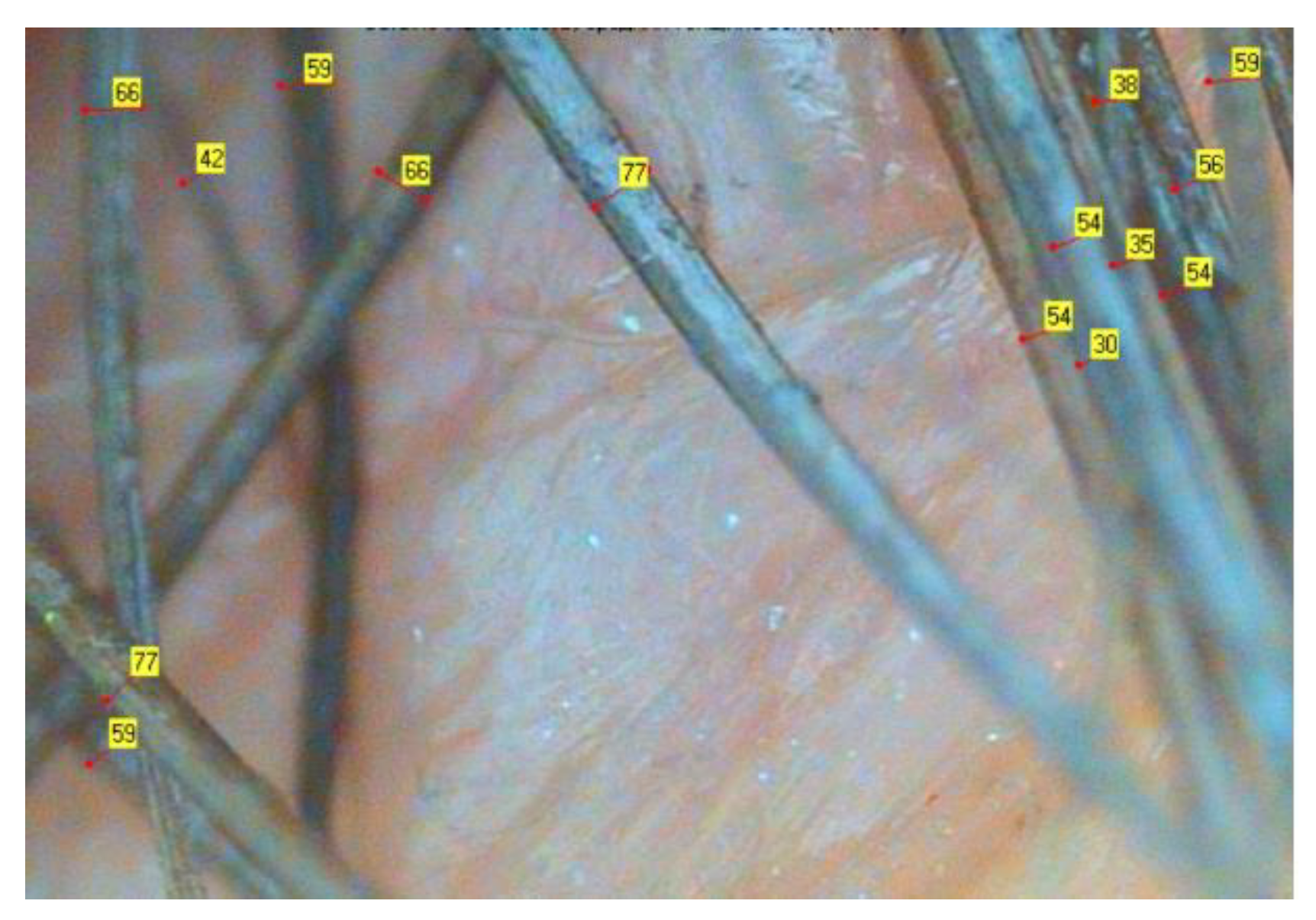 Biomolecules 13 00699 g002