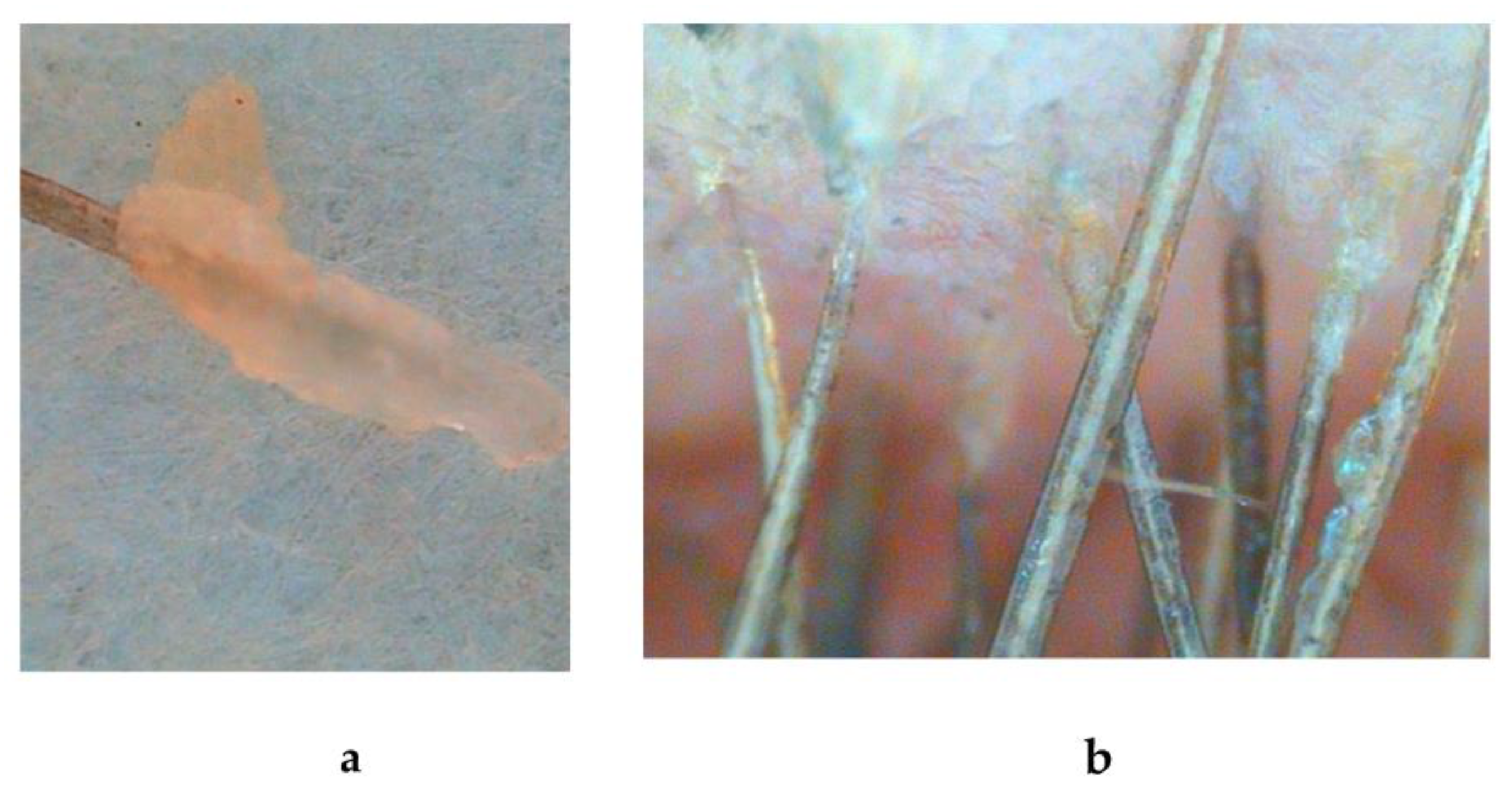 Biomolecules 13 00699 g003