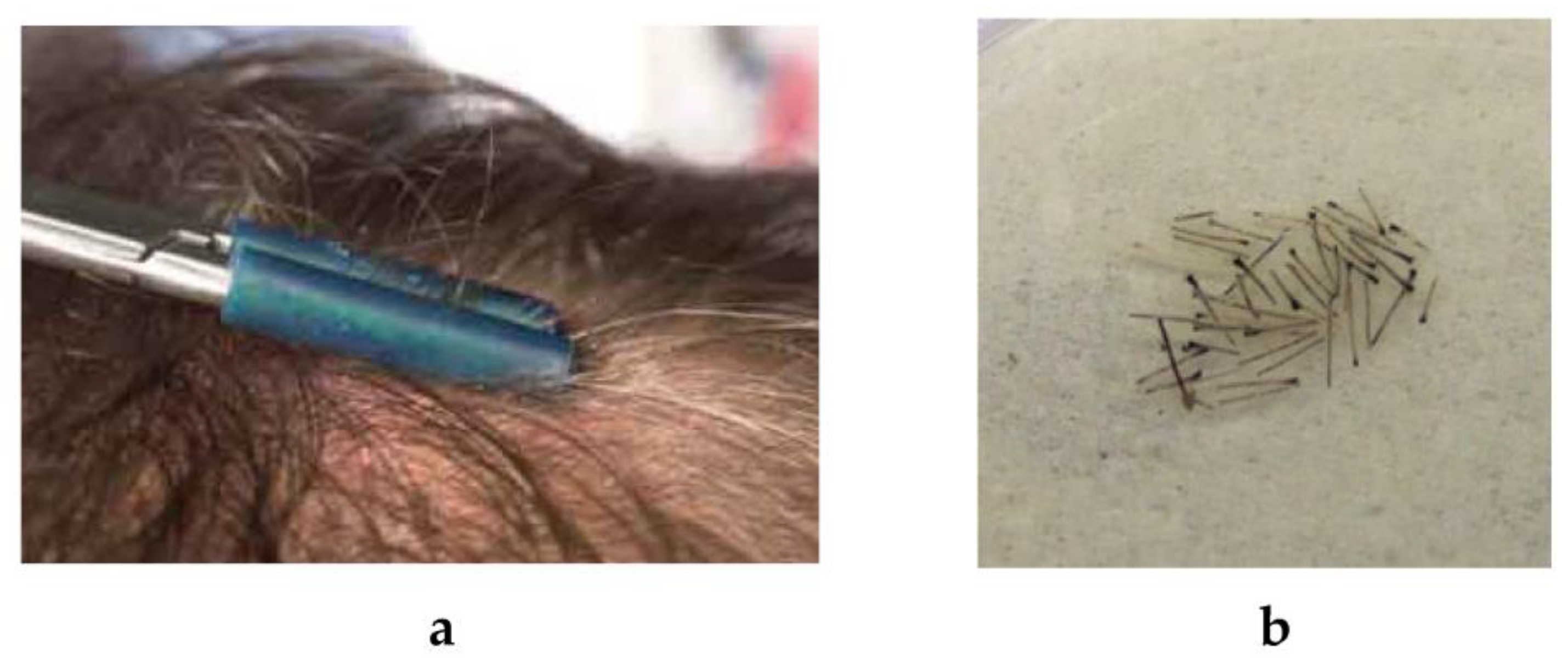 Biomolecules 13 00699 g004