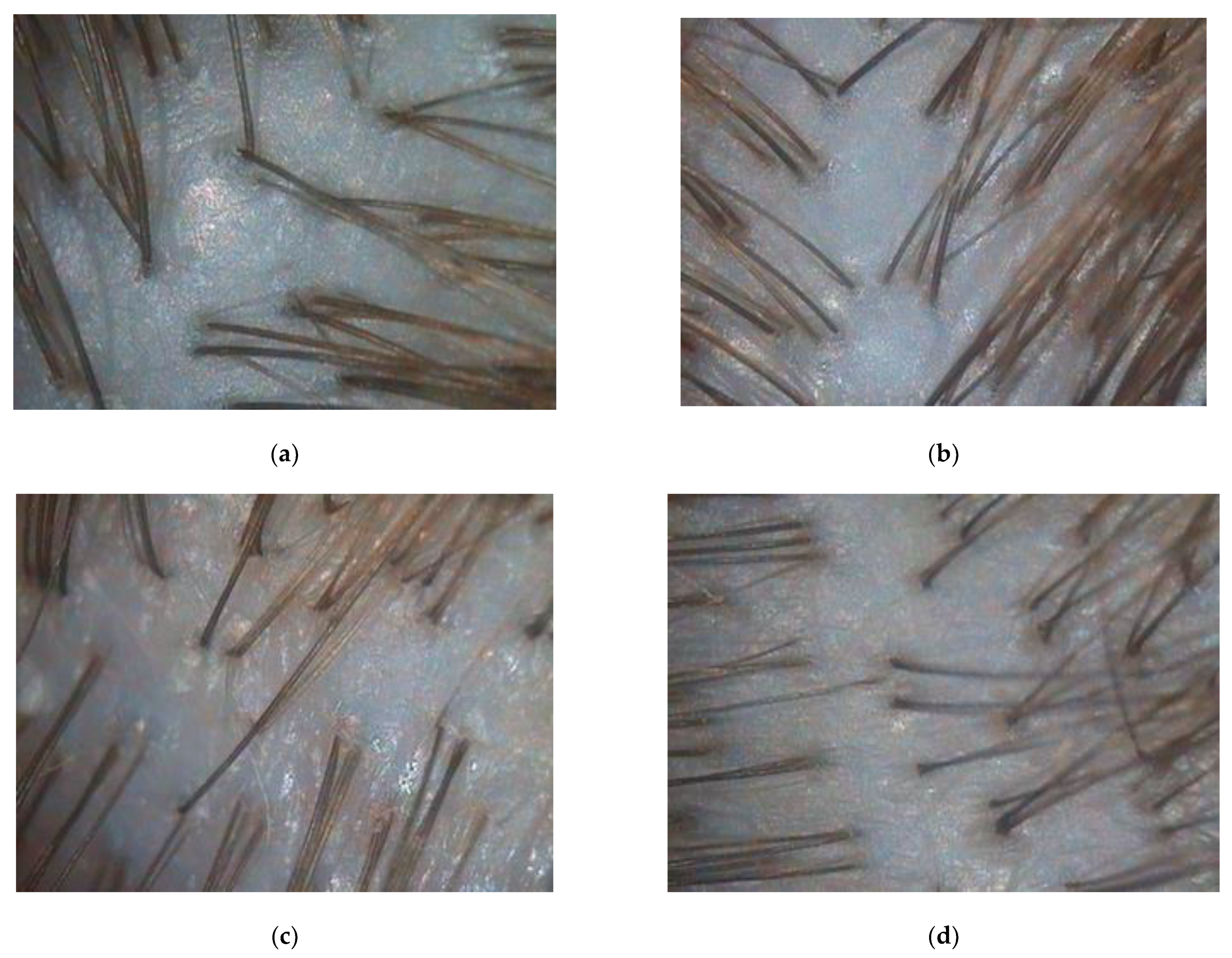 Biomolecules 13 00699 g0a3