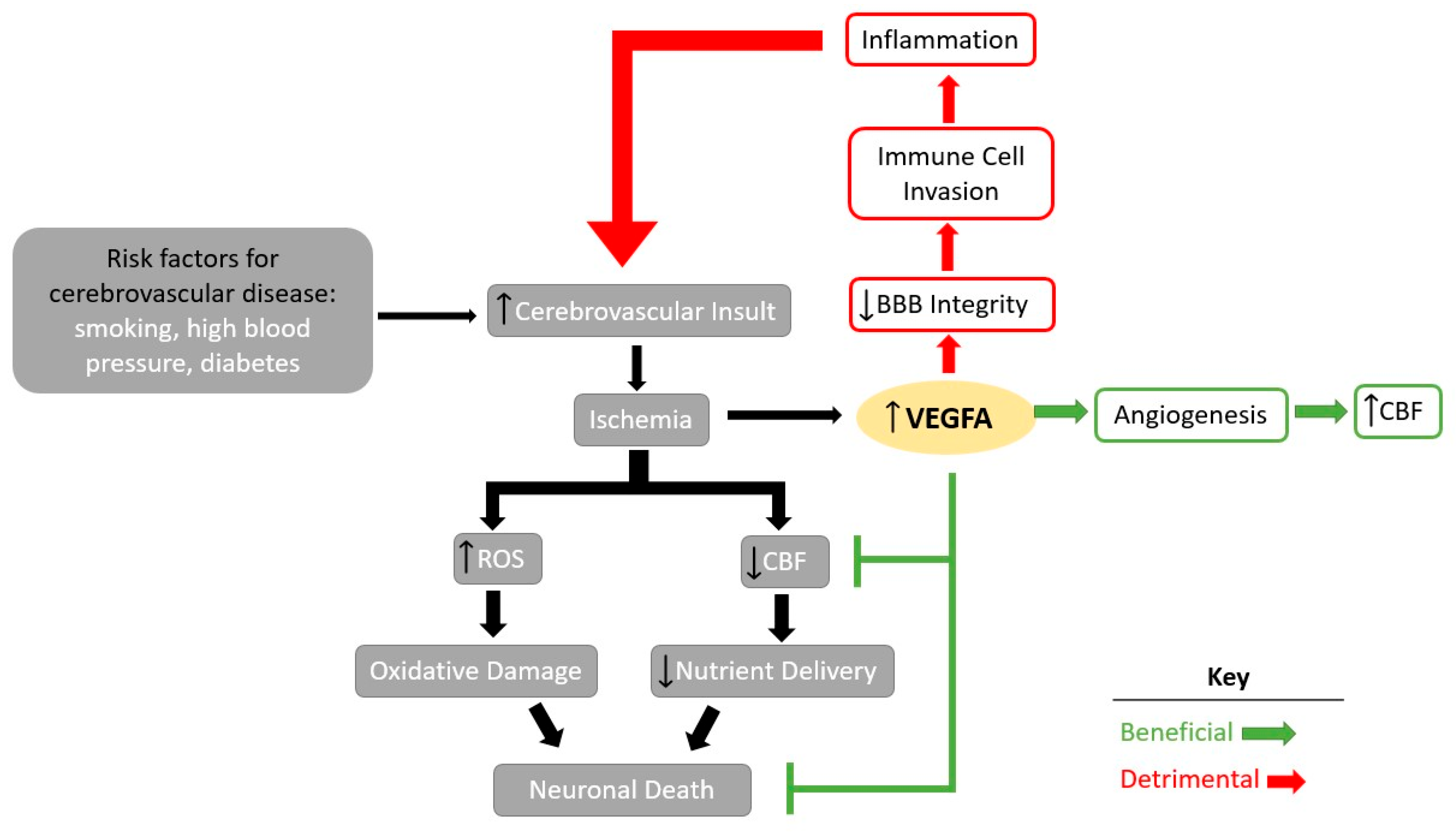 Biomolecules 13 00702 g001