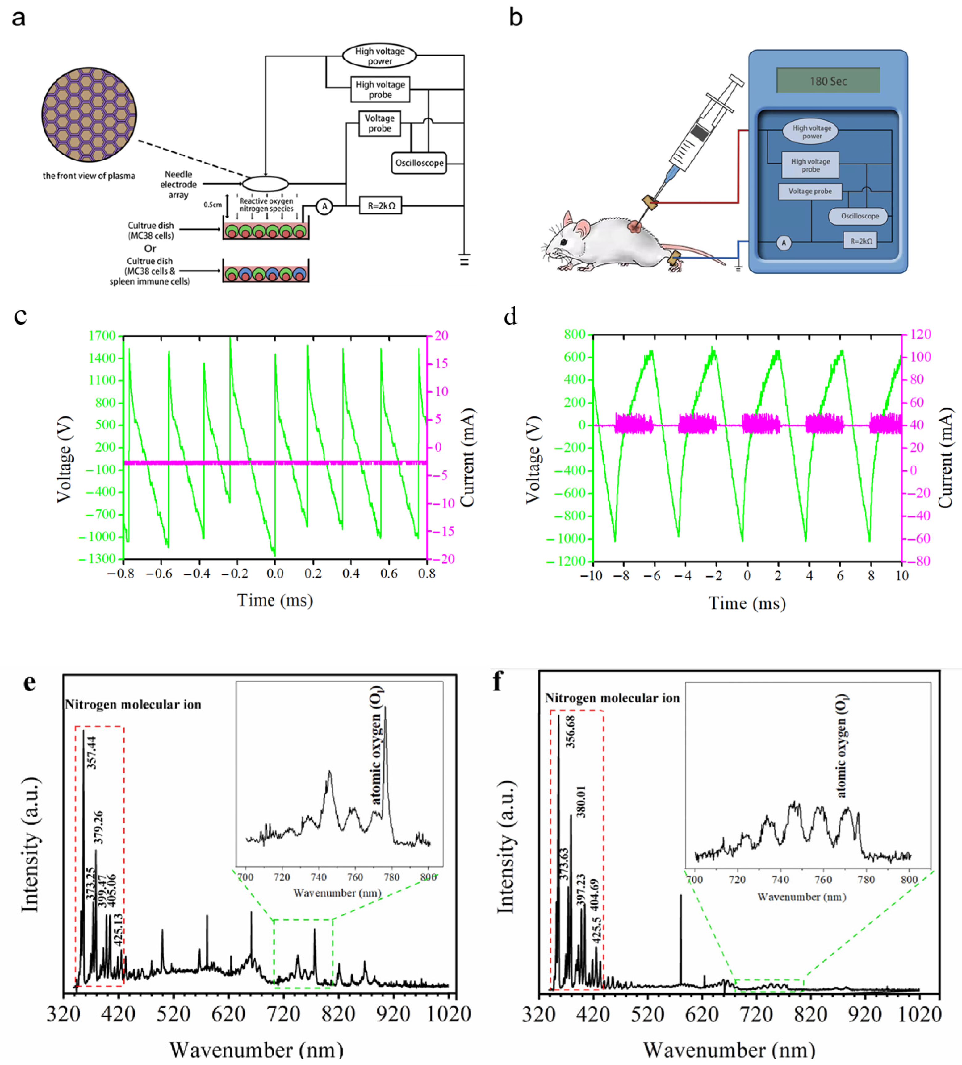 Biomolecules 13 00707 g001 Biomolecules 13 00707 g001