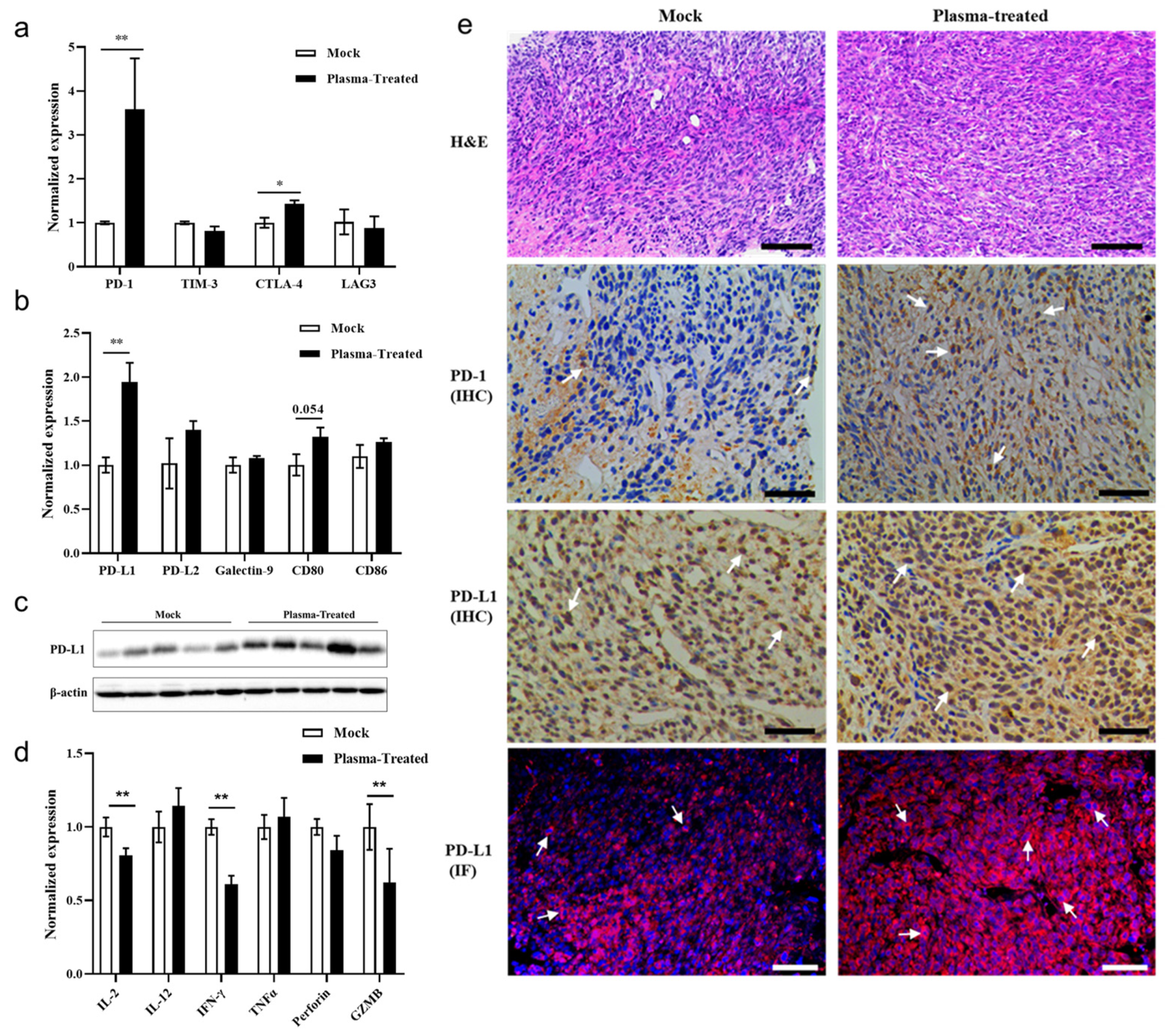 Biomolecules 13 00707 g005 Biomolecules 13 00707 g005