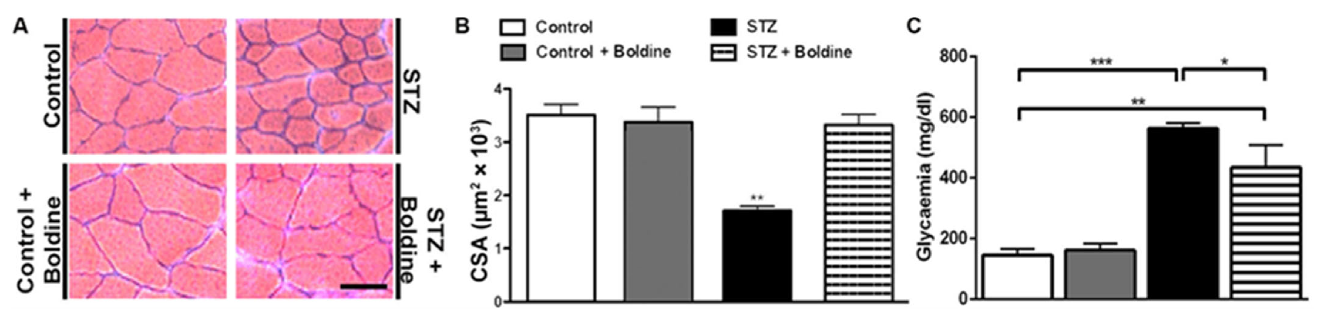 Biomolecules 13 00708 g001