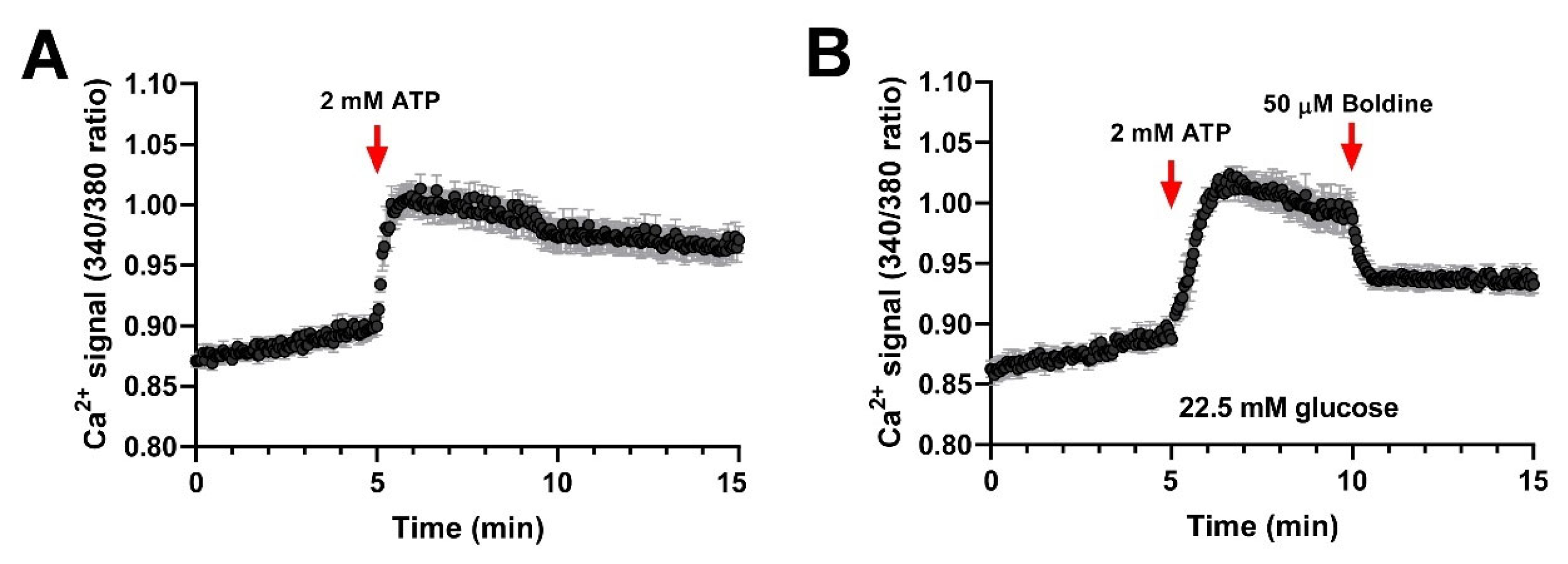 Biomolecules 13 00708 g004