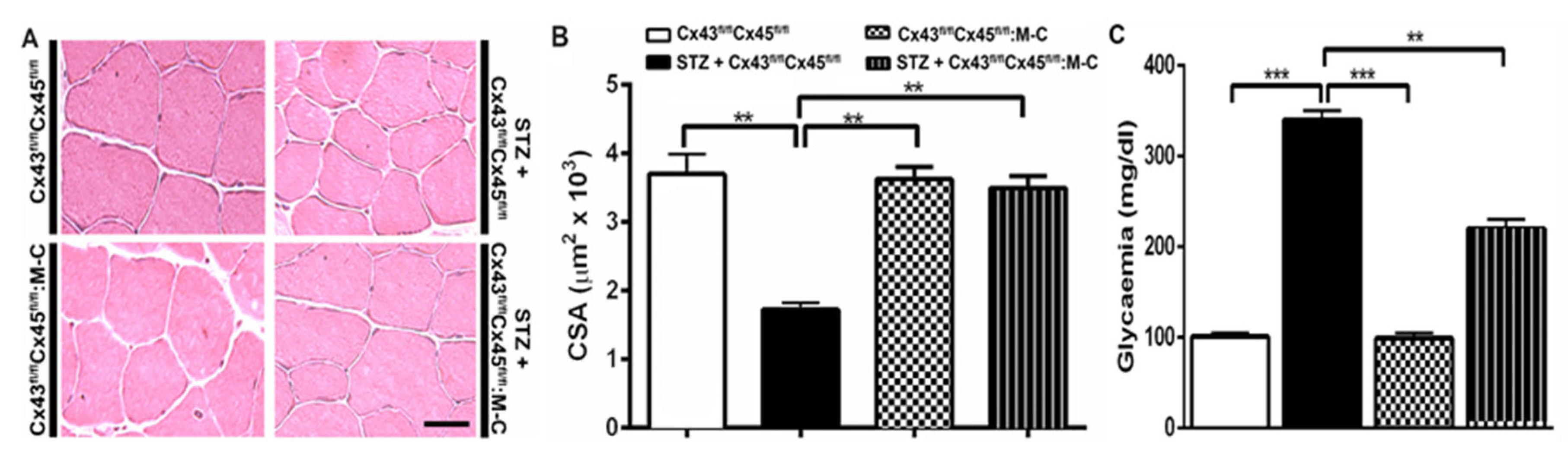 Biomolecules 13 00708 g005