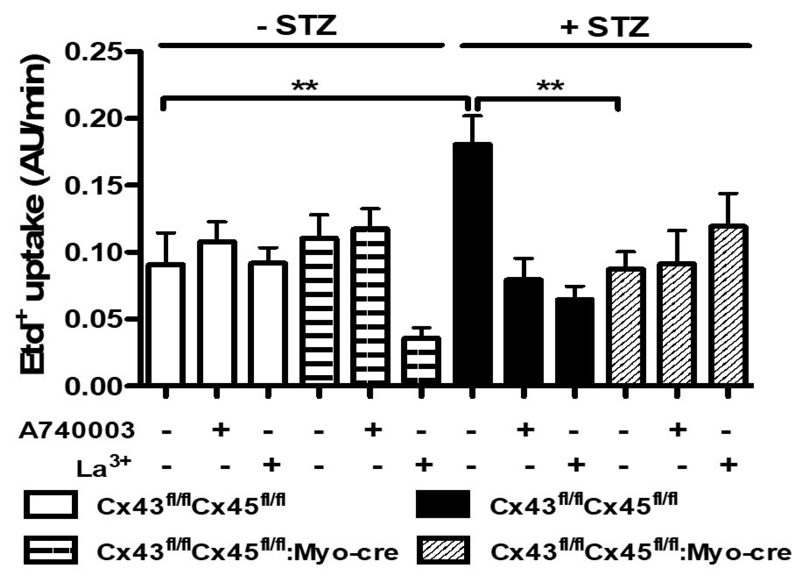 Biomolecules 13 00708 g006