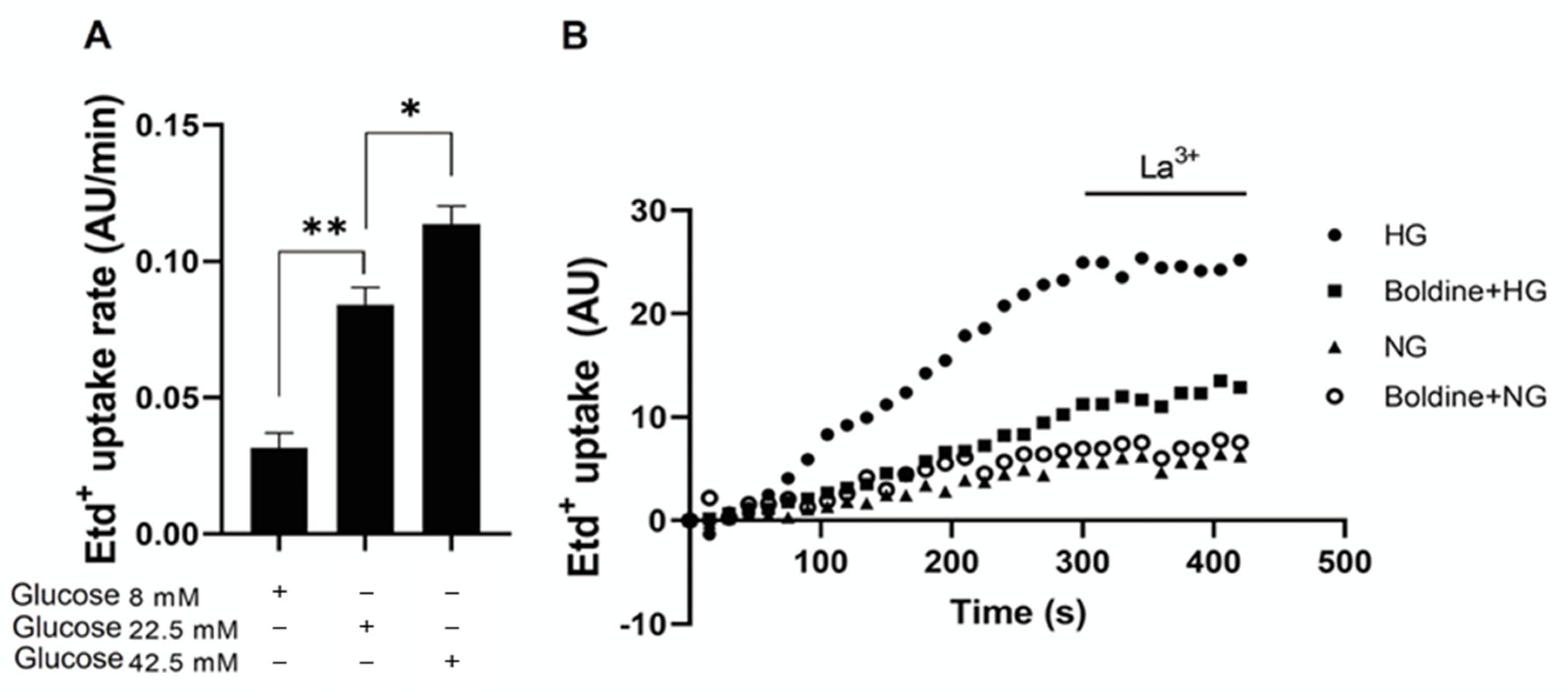 Biomolecules 13 00708 g007
