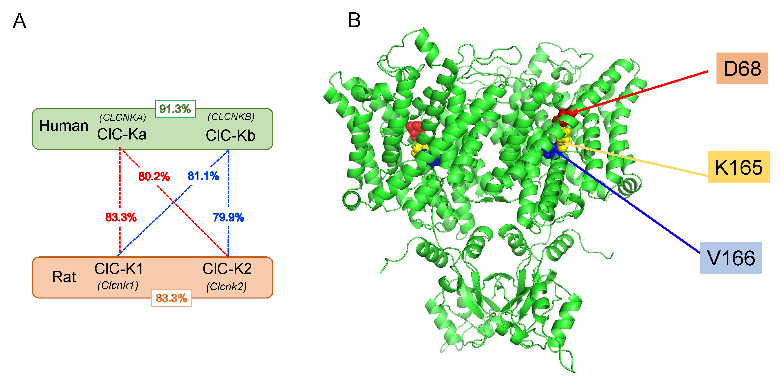Biomolecules 13 00710 g003