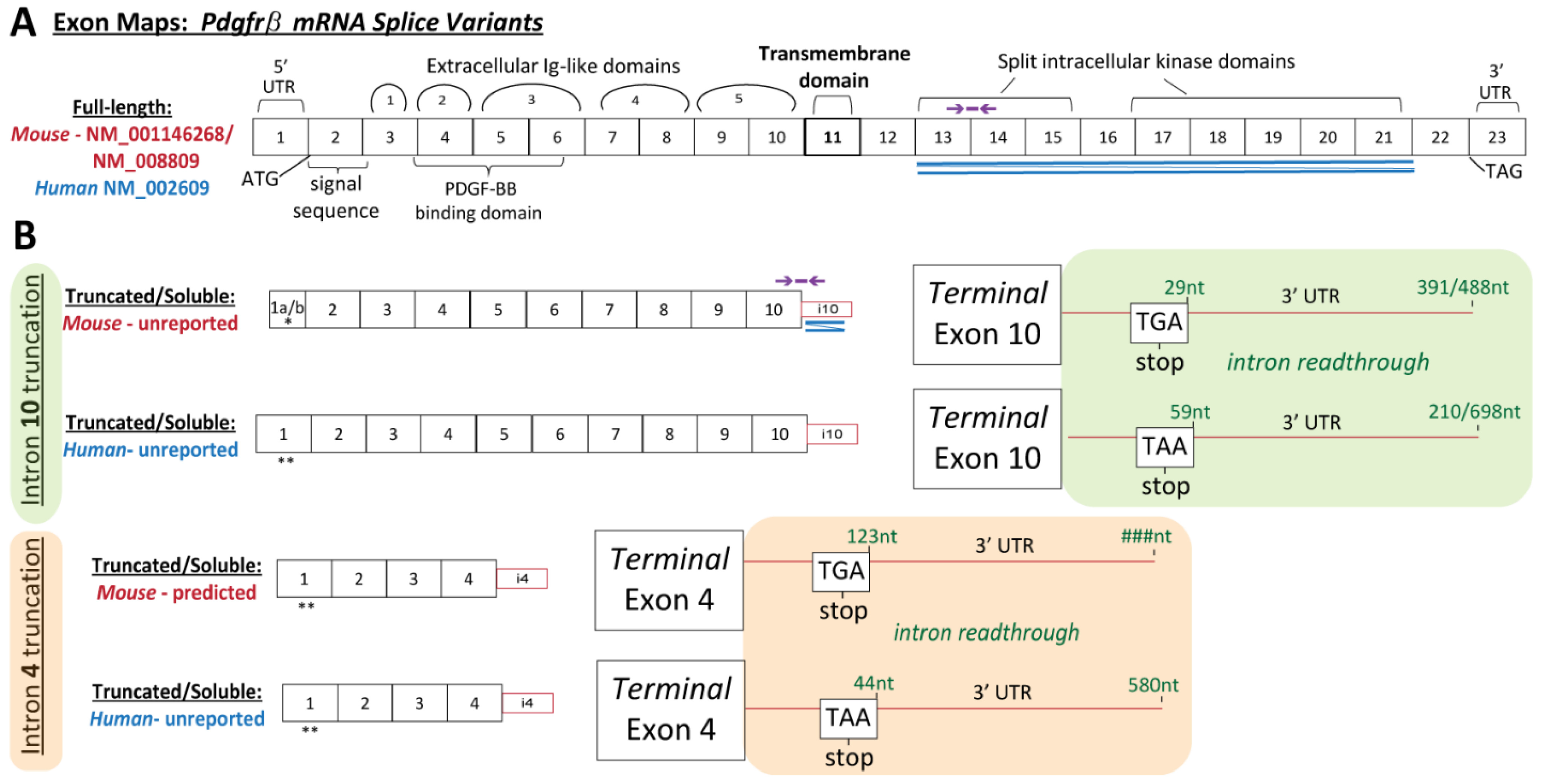 Biomolecules 13 00711 g002