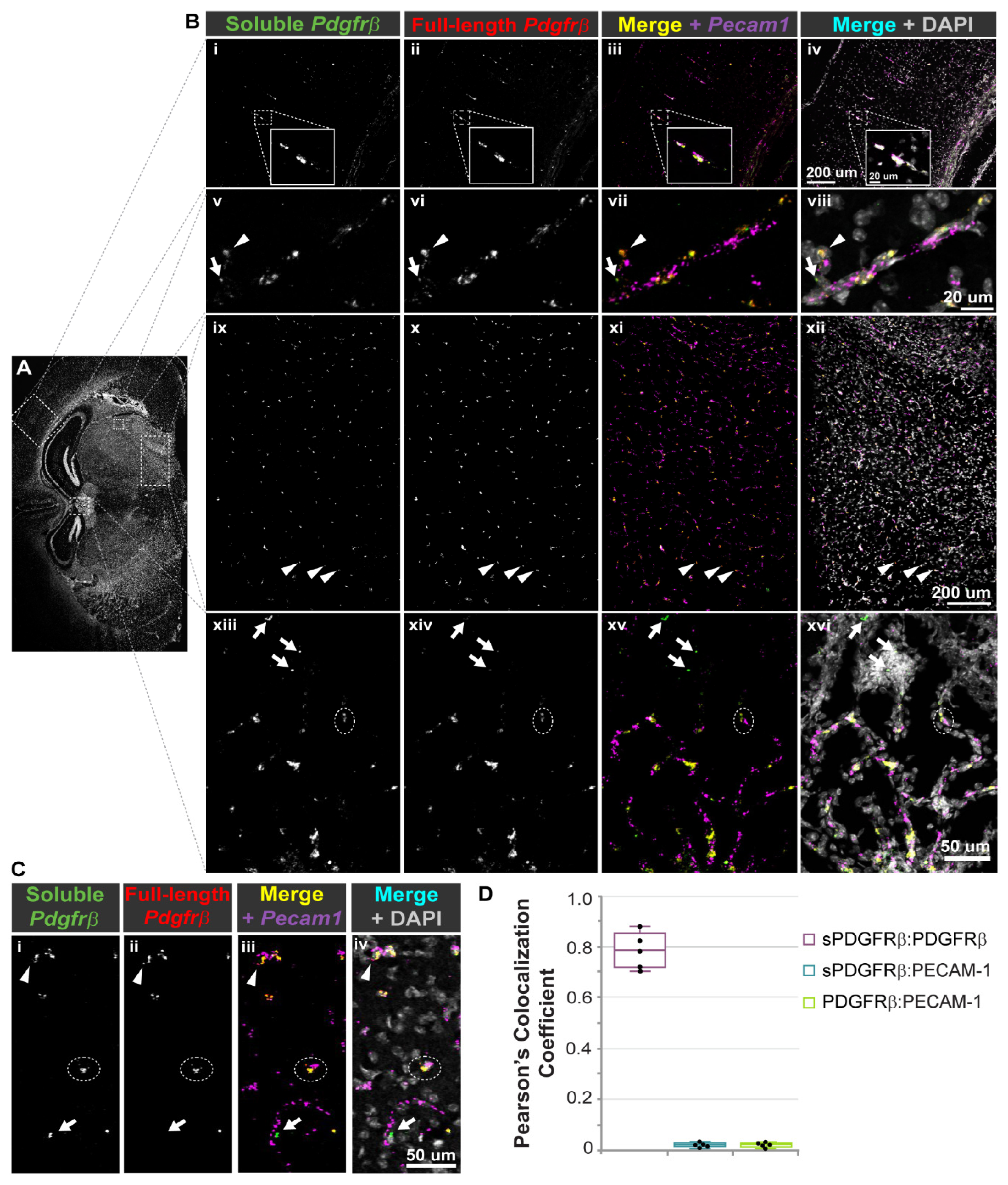 Biomolecules 13 00711 g004