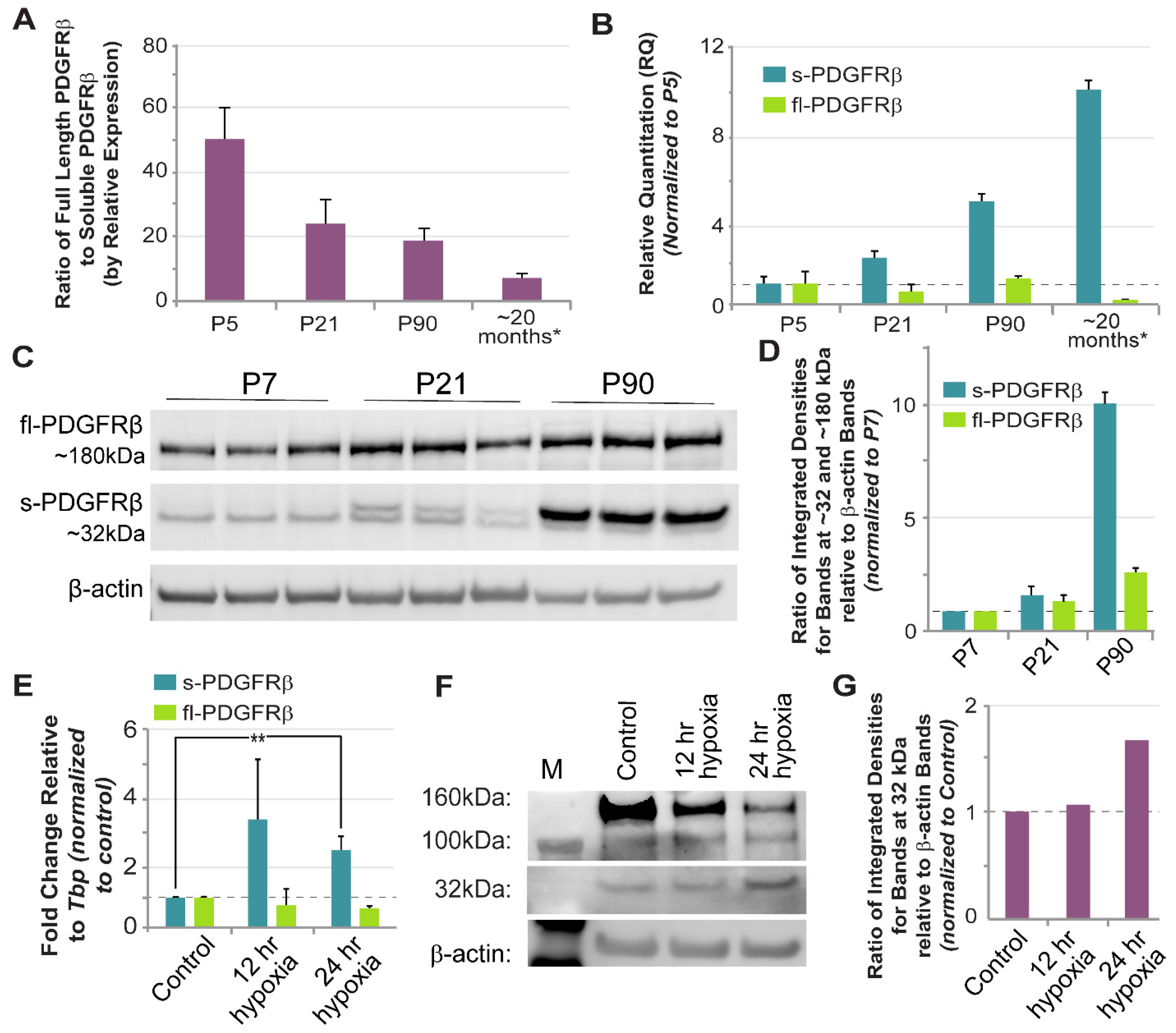 Biomolecules 13 00711 g006