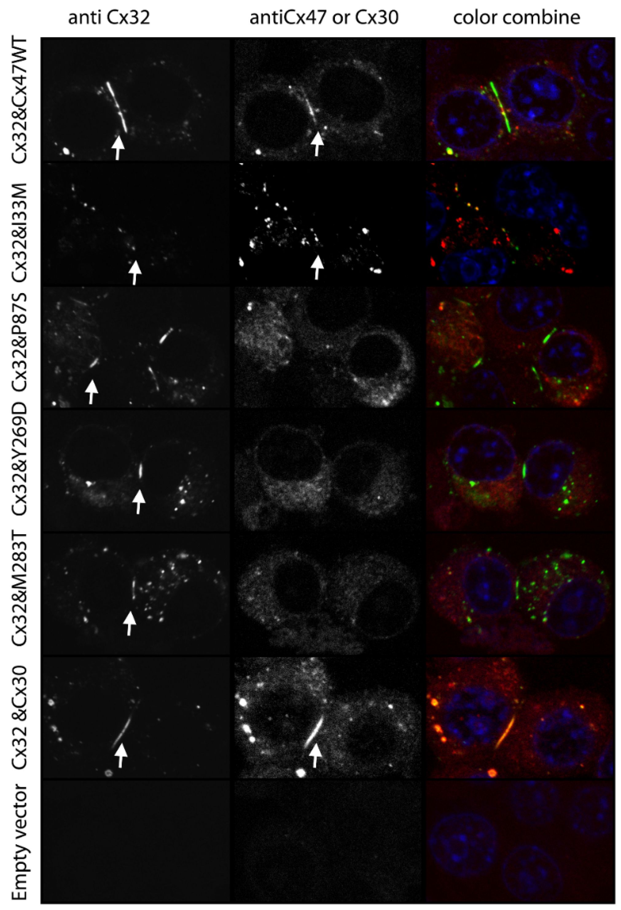 Biomolecules 13 00712 g003
