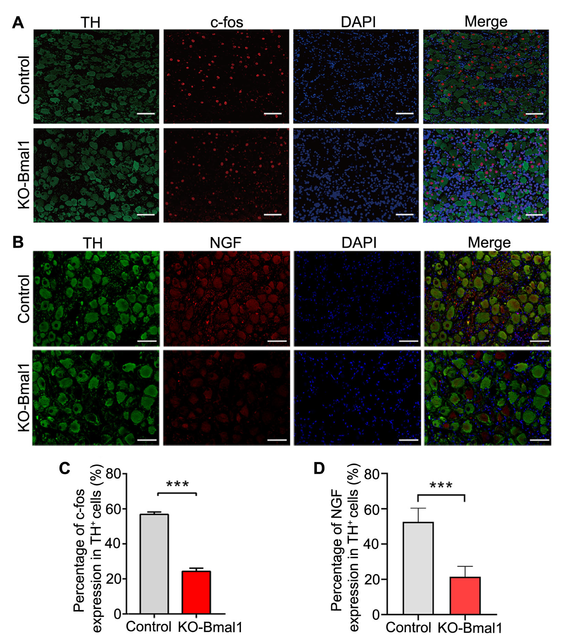 Biomolecules 13 00713 g002 Biomolecules 13 00713 g002