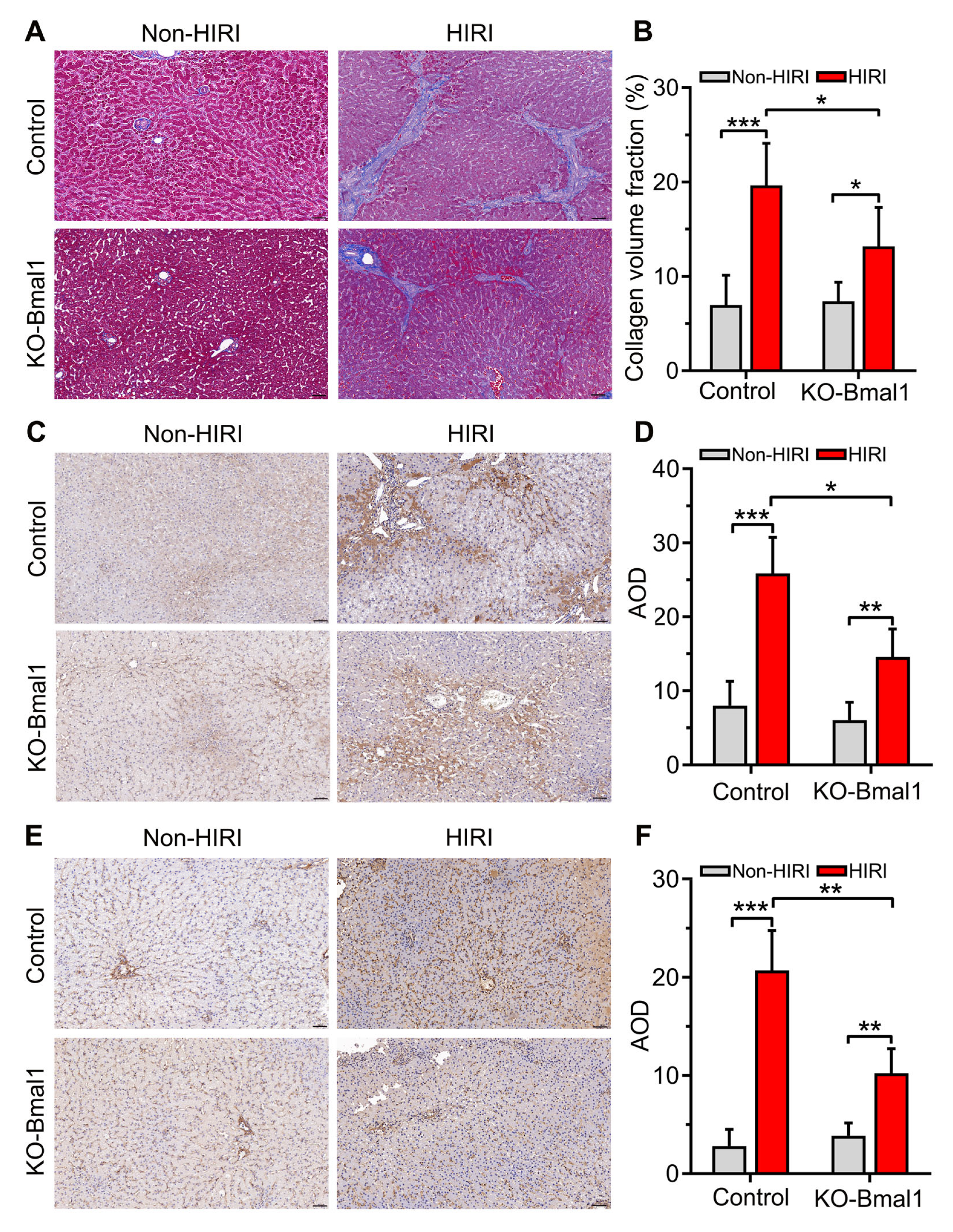 Biomolecules 13 00713 g004 Biomolecules 13 00713 g004