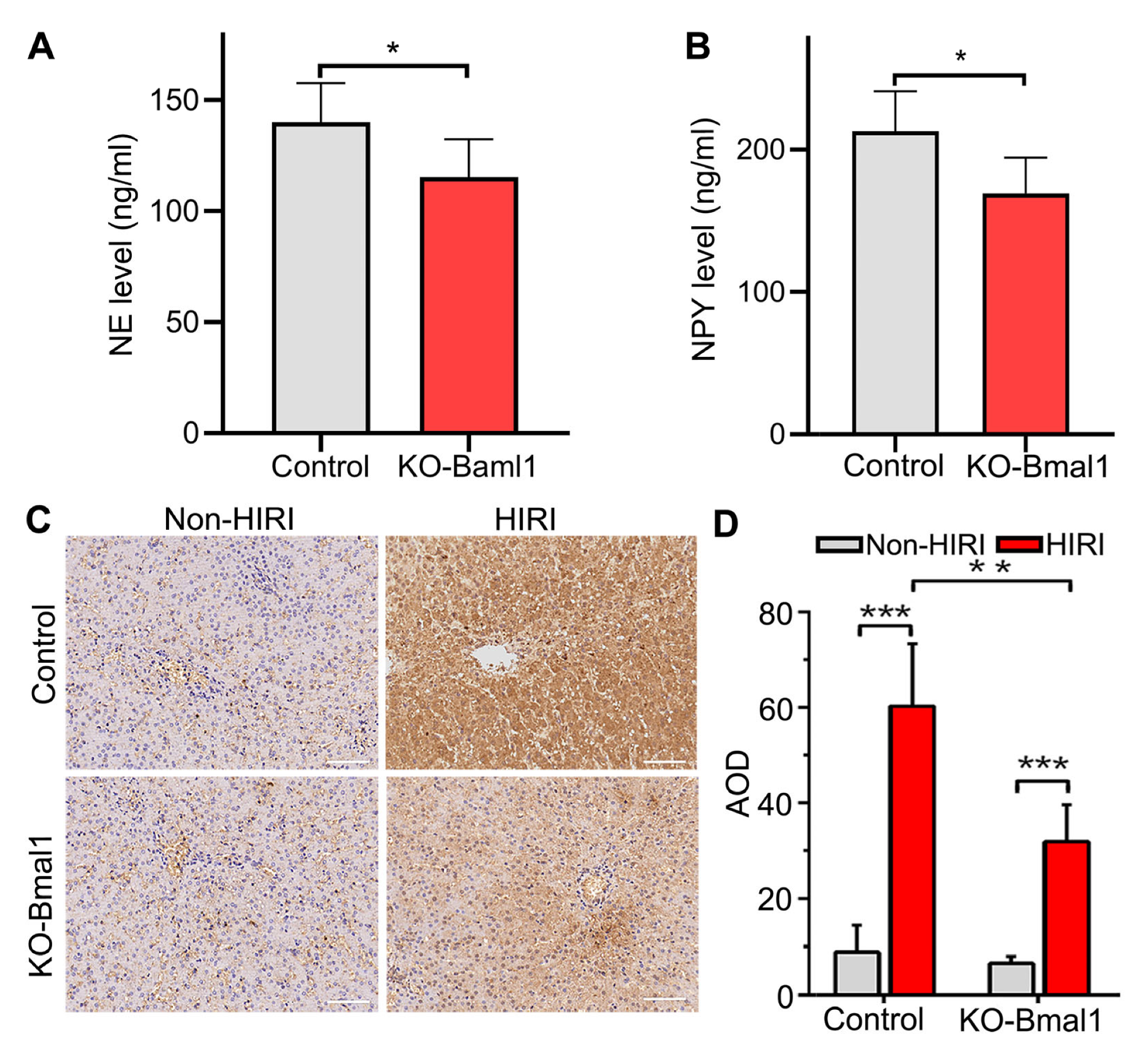 Biomolecules 13 00713 g005 Biomolecules 13 00713 g005