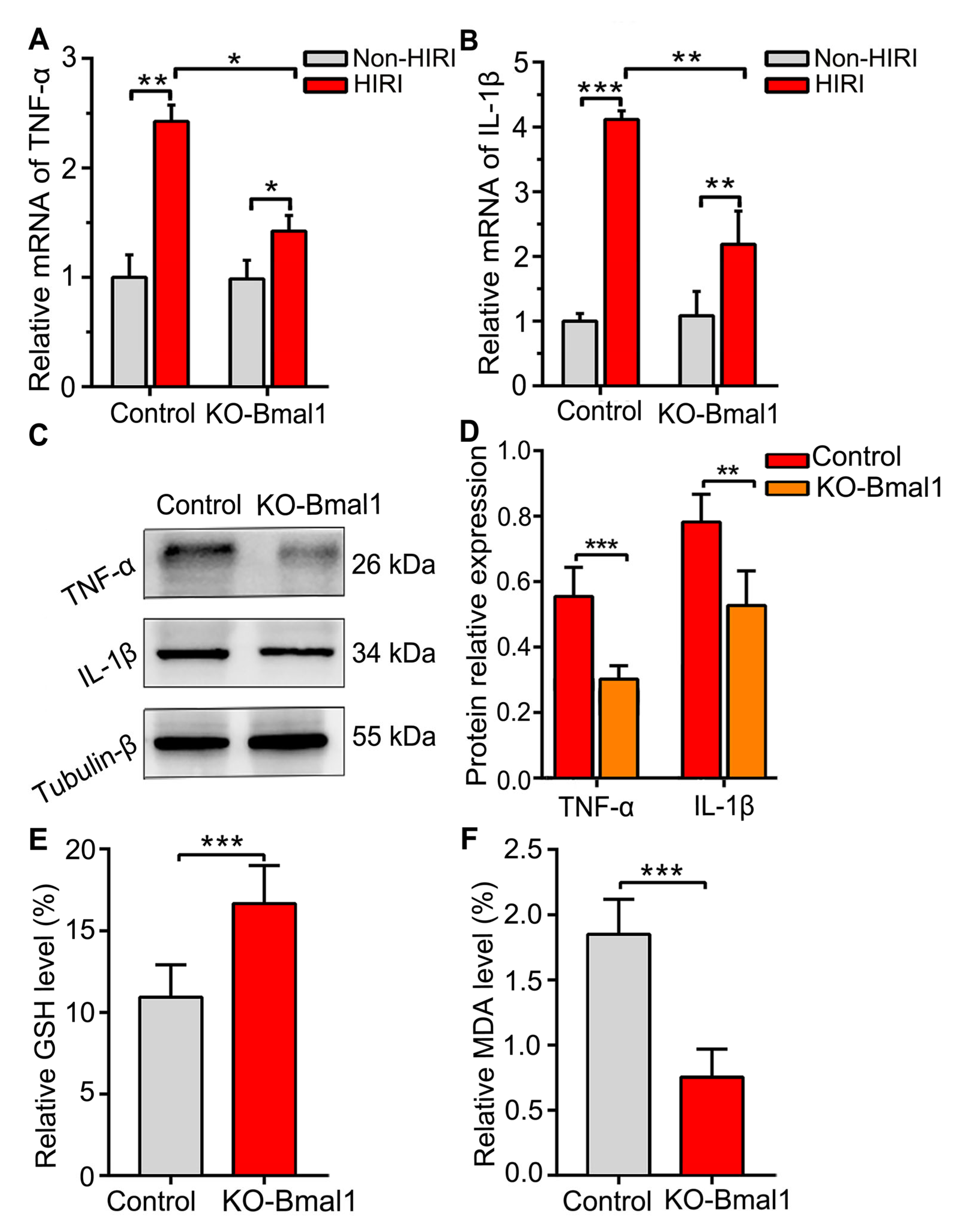 Biomolecules 13 00713 g006 Biomolecules 13 00713 g006