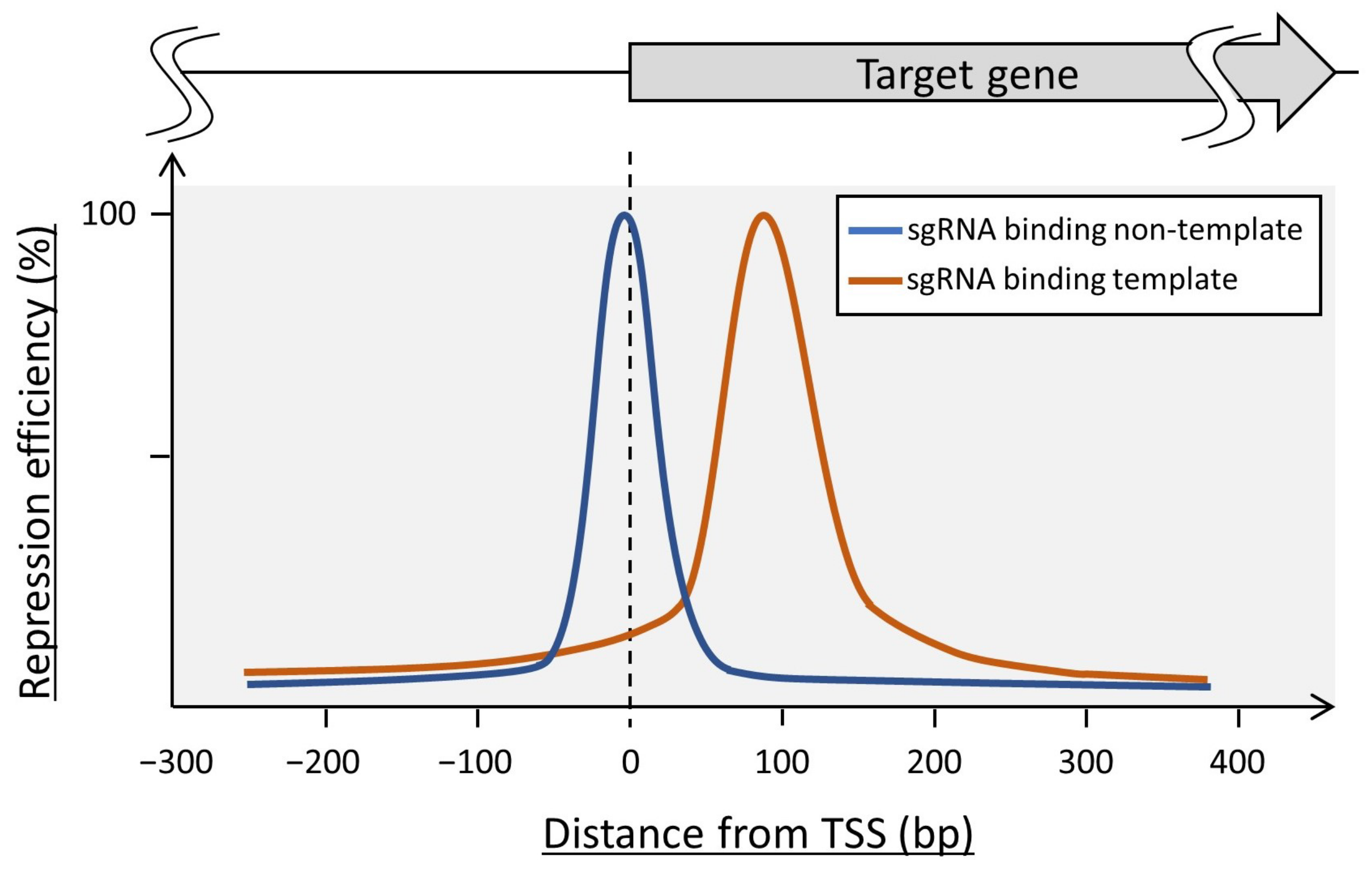Biomolecules 13 00716 g002