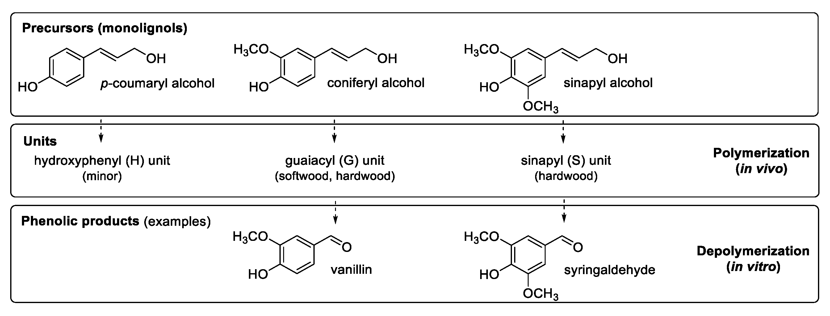 Biomolecules 13 00717 sch001