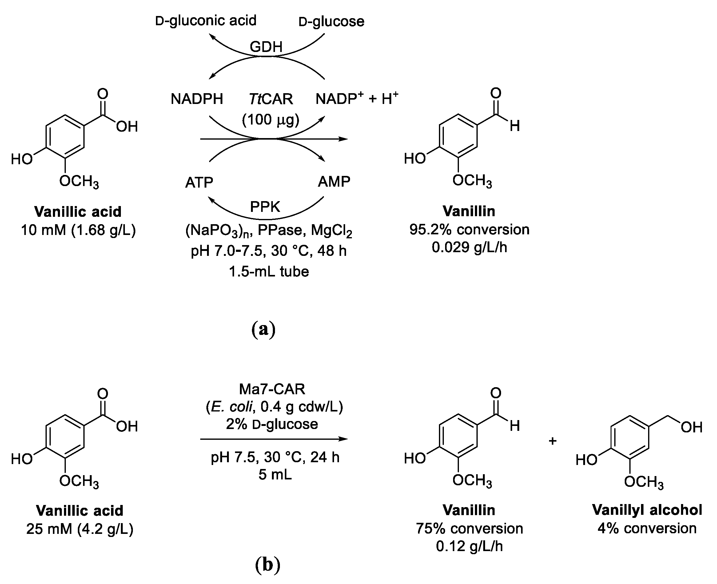 Biomolecules 13 00717 sch004