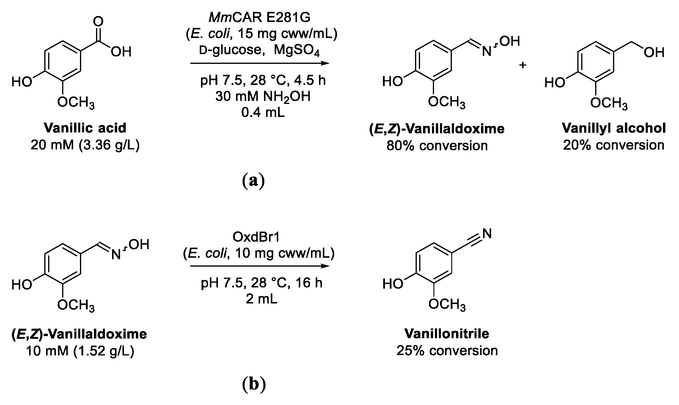 Biomolecules 13 00717 sch005