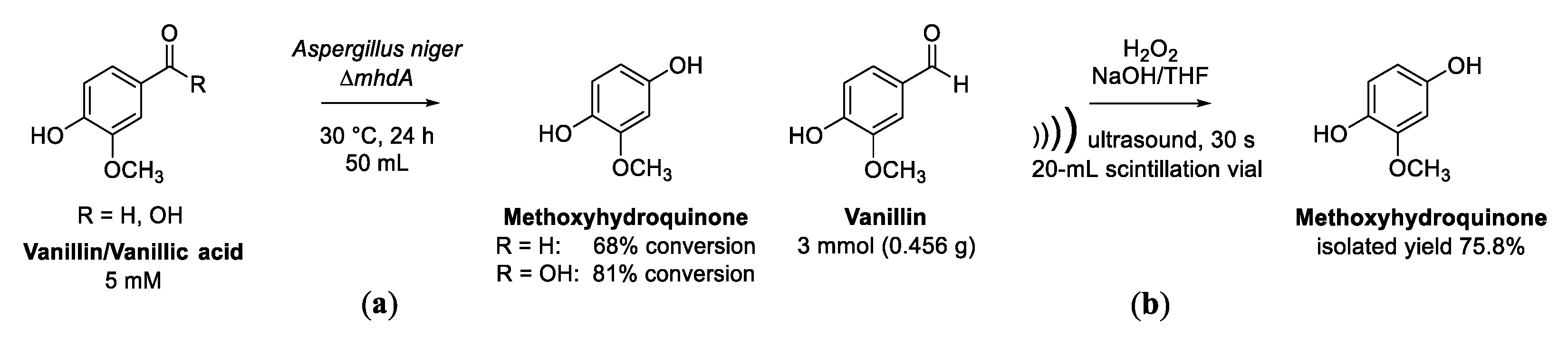 Biomolecules 13 00717 sch006