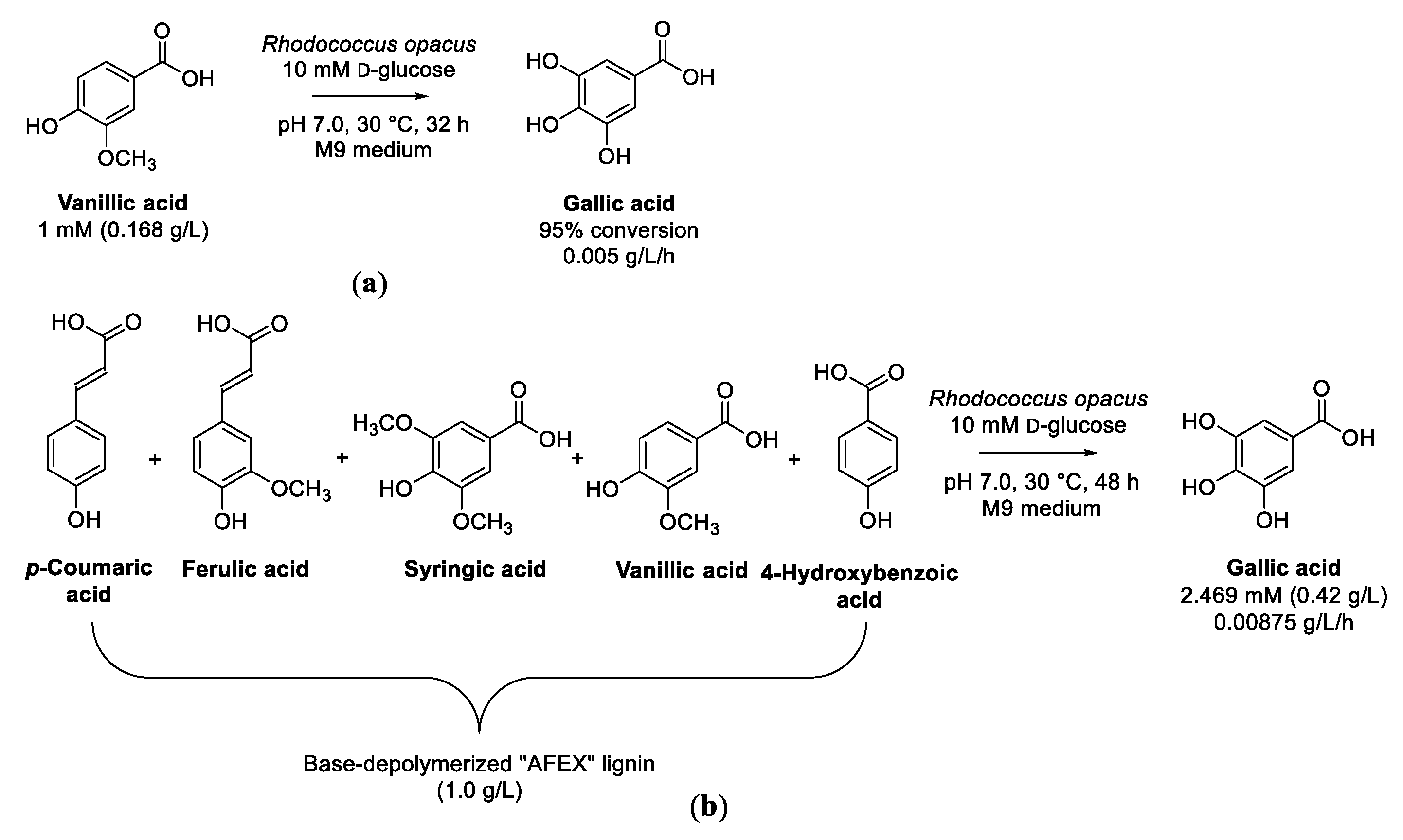 Biomolecules 13 00717 sch007